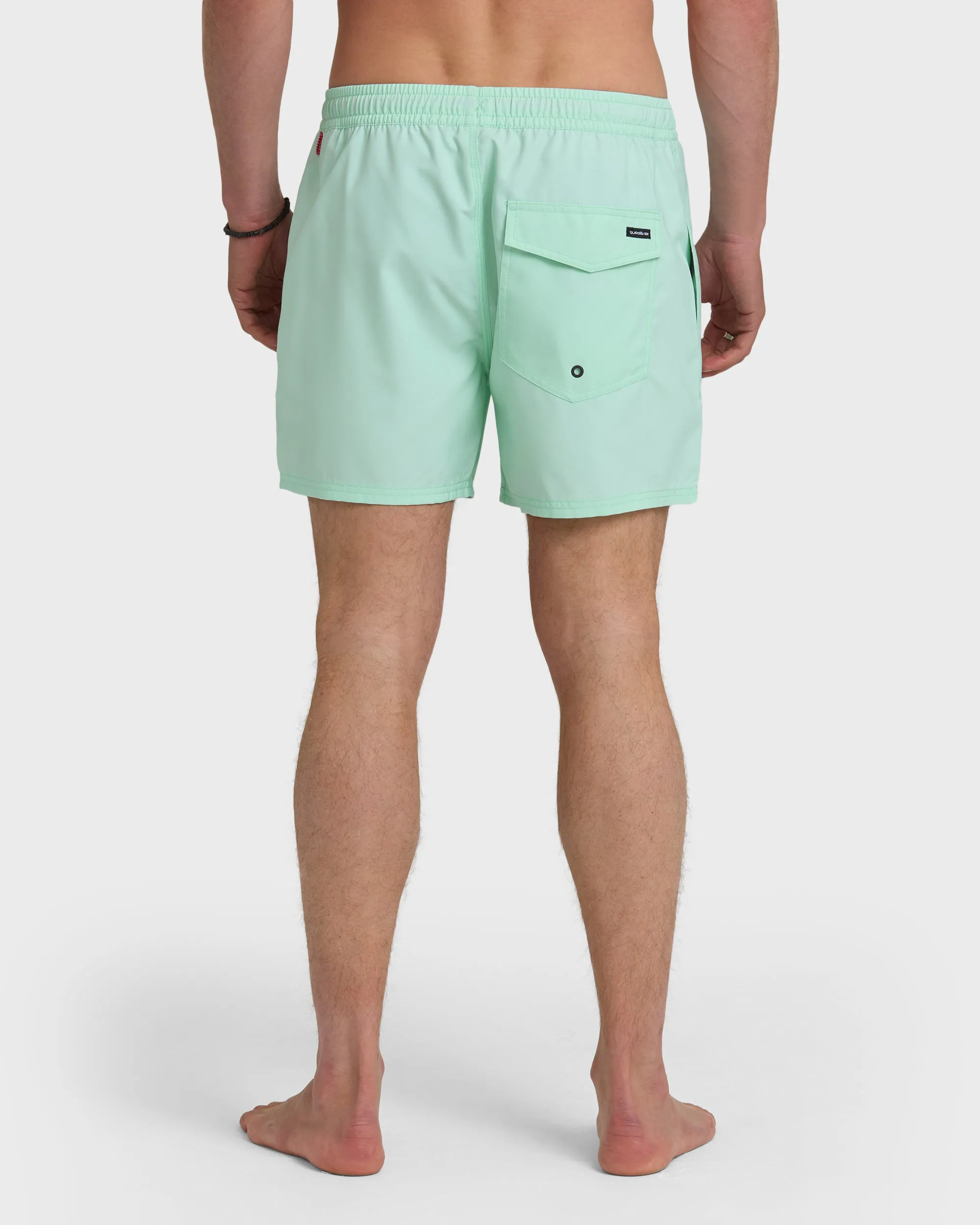Everyday Solid 17" Swim Trunks - Brook Green sold by Quiksilver product image thumbnail 2