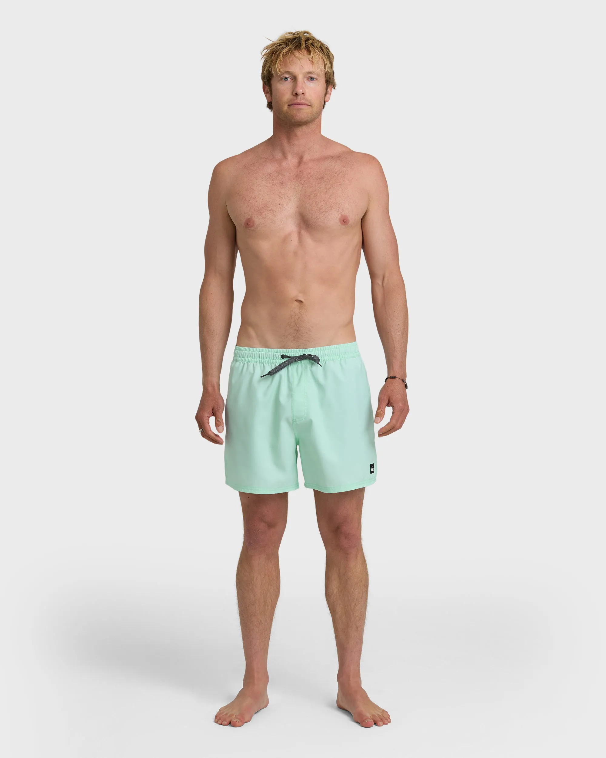 Everyday Solid 17" Swim Trunks - Brook Green sold by Quiksilver product image thumbnail 3
