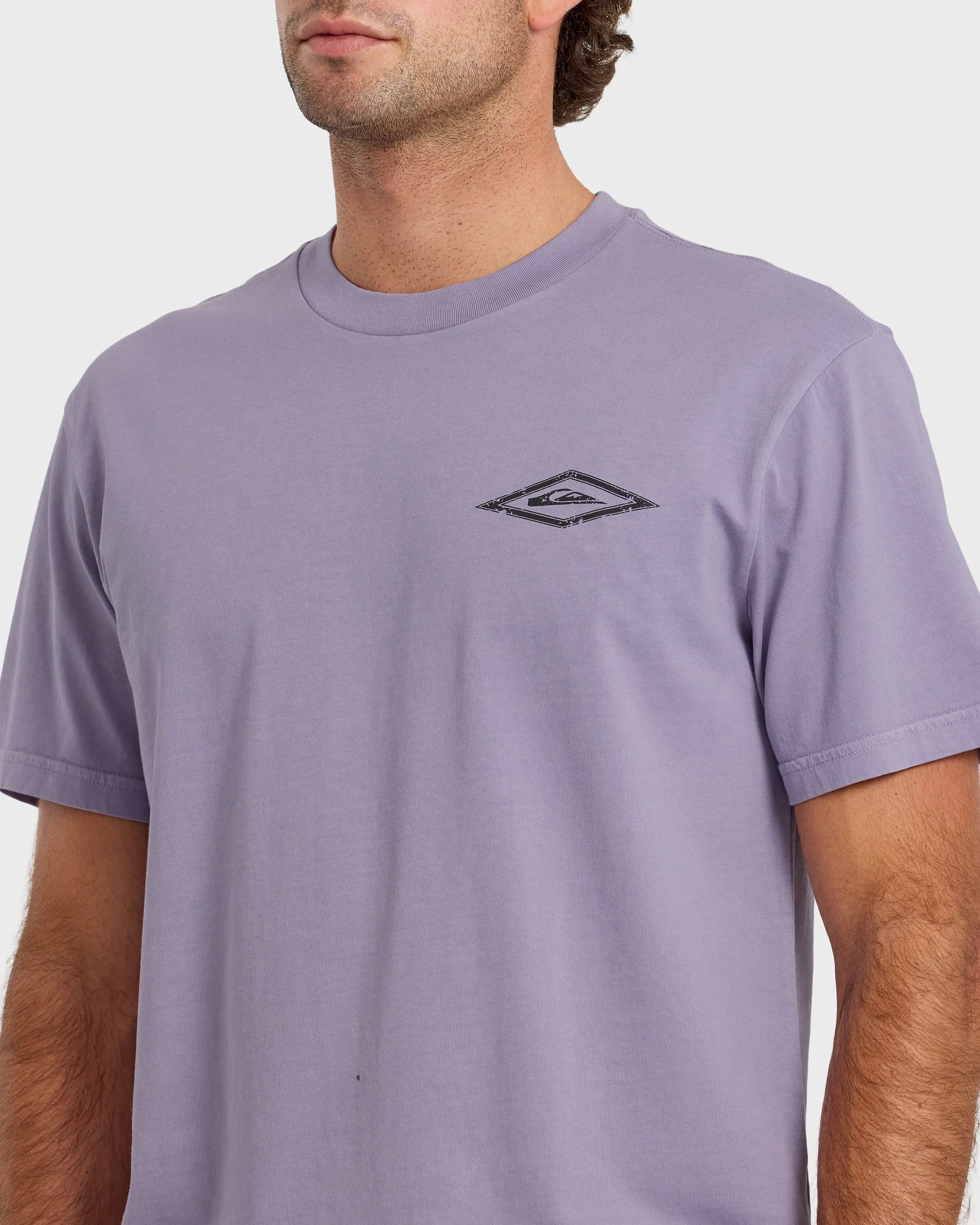 Snake Bite Pigment Dyed Short Sleeve T-Shirt - Daybreak sold by Quiksilver product image thumbnail 5
