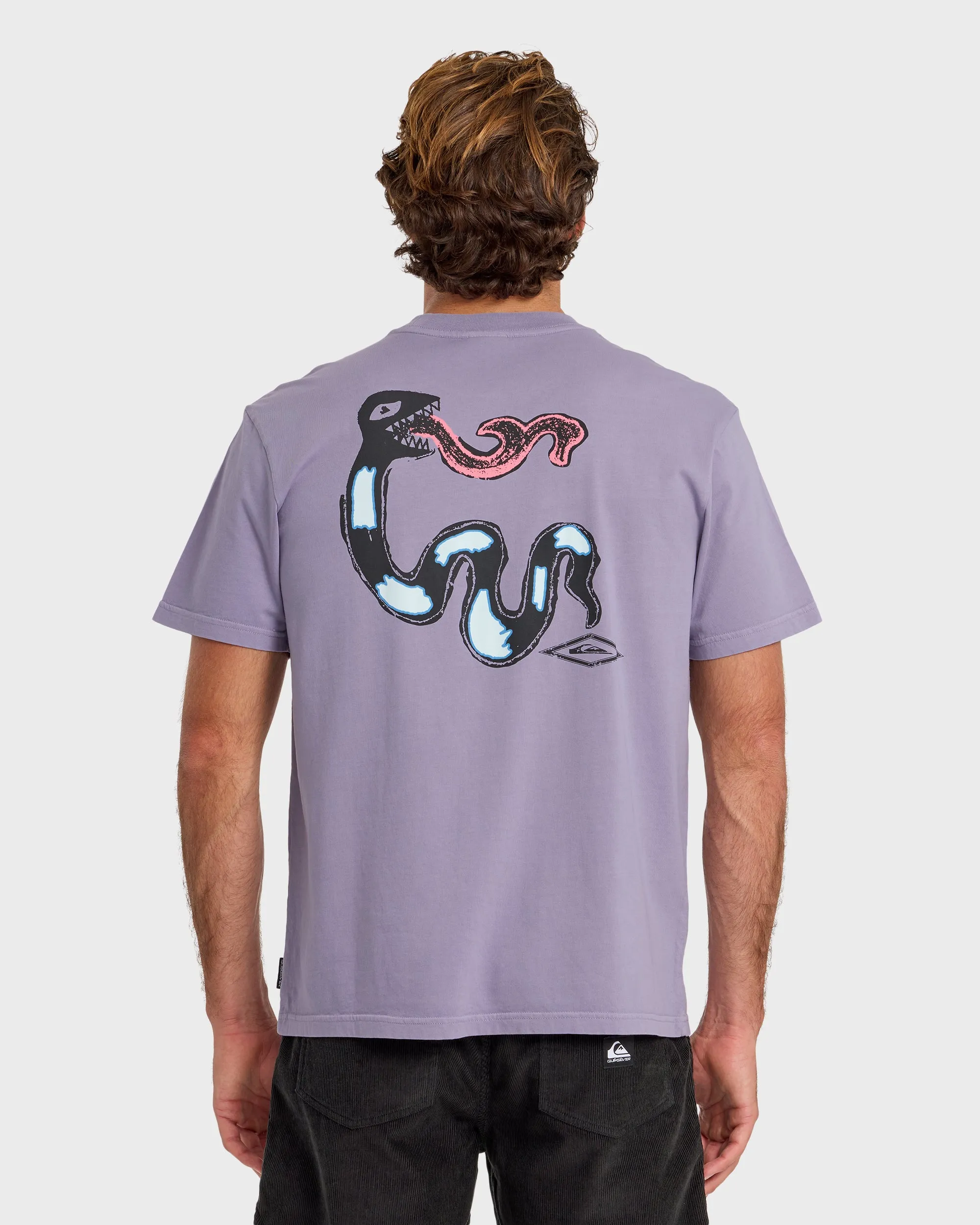 Snake Bite Pigment Dyed Short Sleeve T-Shirt - Daybreak sold by Quiksilver product image thumbnail 2