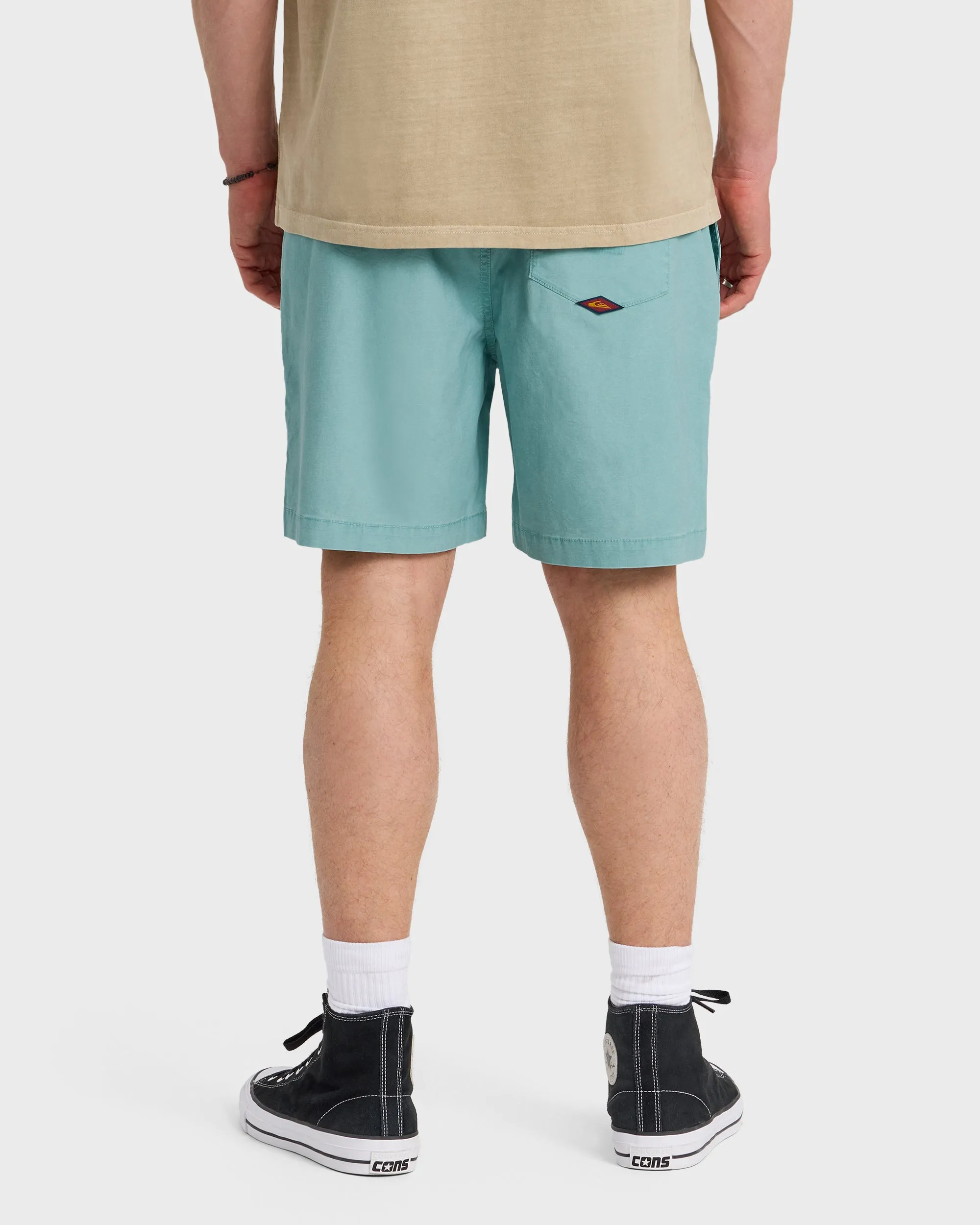 Saltwater Shorts - Jade Gray sold by Quiksilver product image thumbnail 2