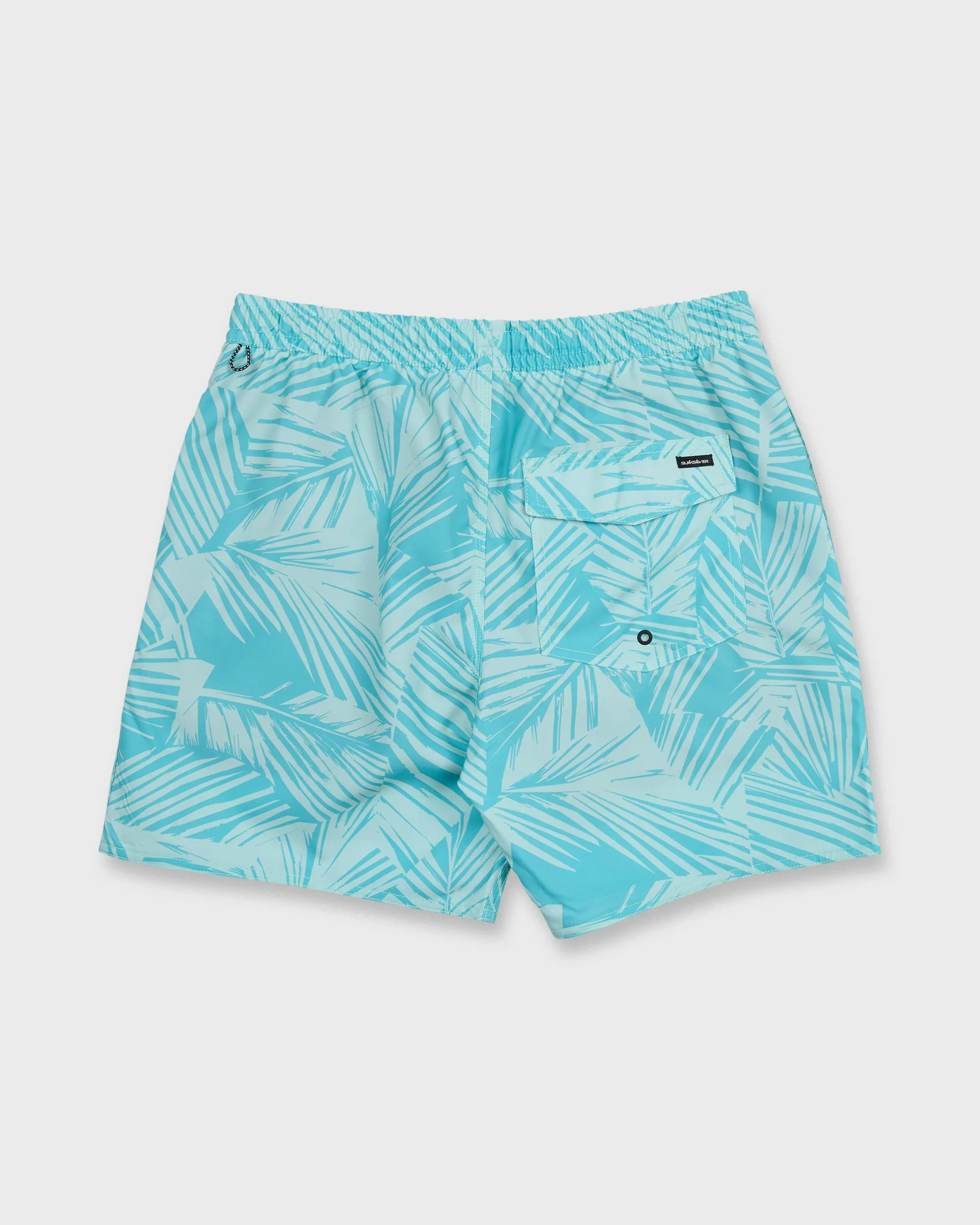 Mix Volley 17" Swim Trunks - Aqua sold by Quiksilver product image thumbnail 2