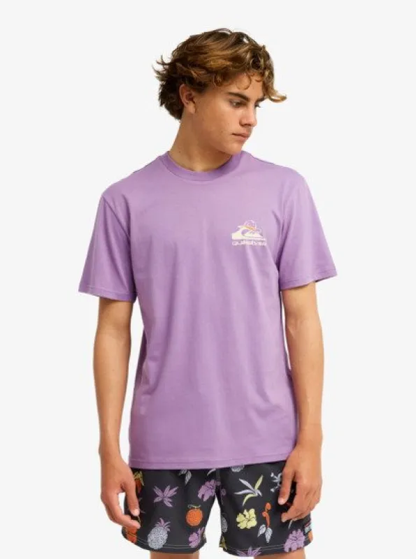 One Piece Merry Short Sleeve T-Shirt - Orchid Mist made by Quiksilver