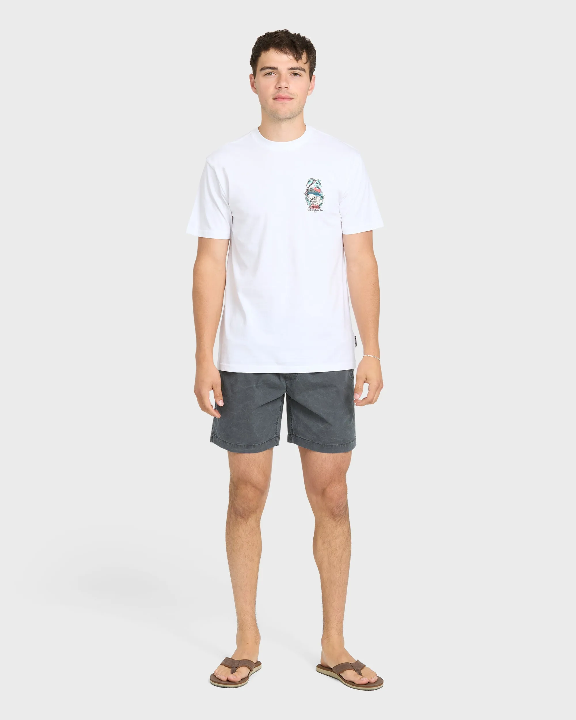 Staycation Short Sleeve Cotton T-Shirt - White sold by Quiksilver product image thumbnail 4