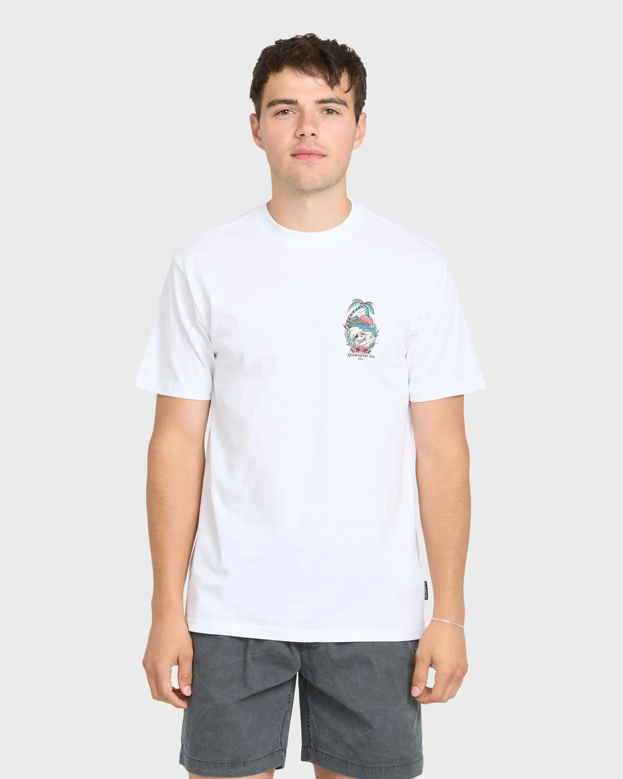 Staycation Short Sleeve Cotton T-Shirt - White sold by Quiksilver