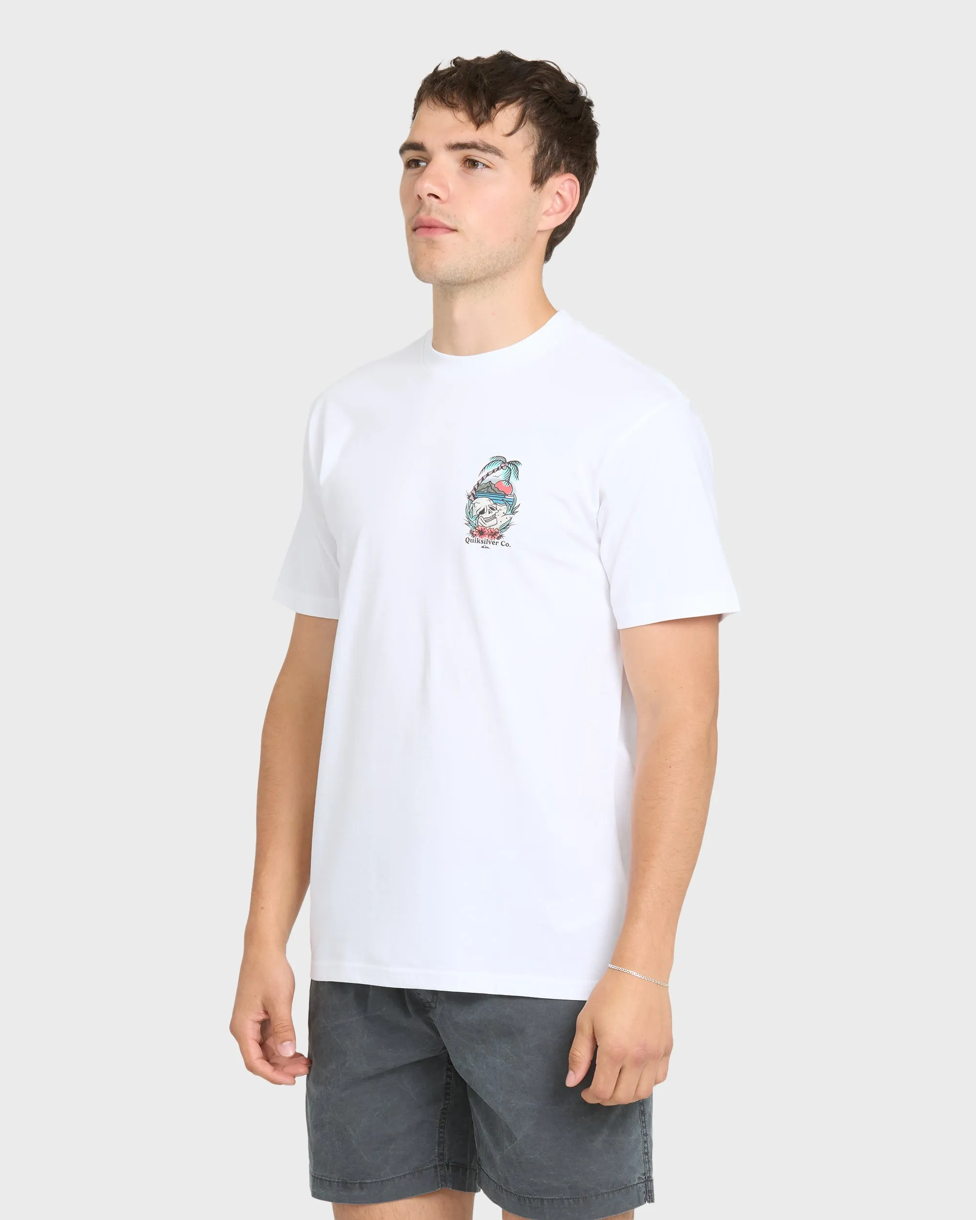 Staycation Short Sleeve Cotton T-Shirt - White sold by Quiksilver product image thumbnail 3