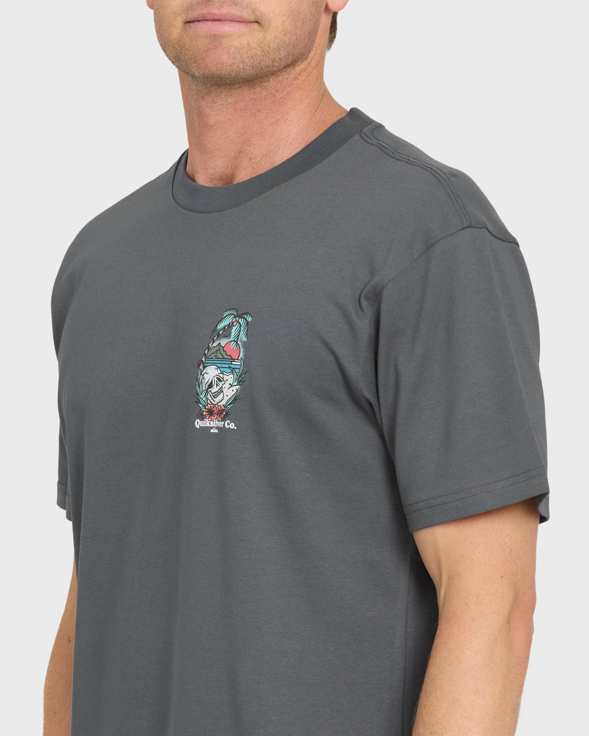 Staycation Short Sleeve Cotton T-Shirt - Iron Gate sold by Quiksilver product image thumbnail 5