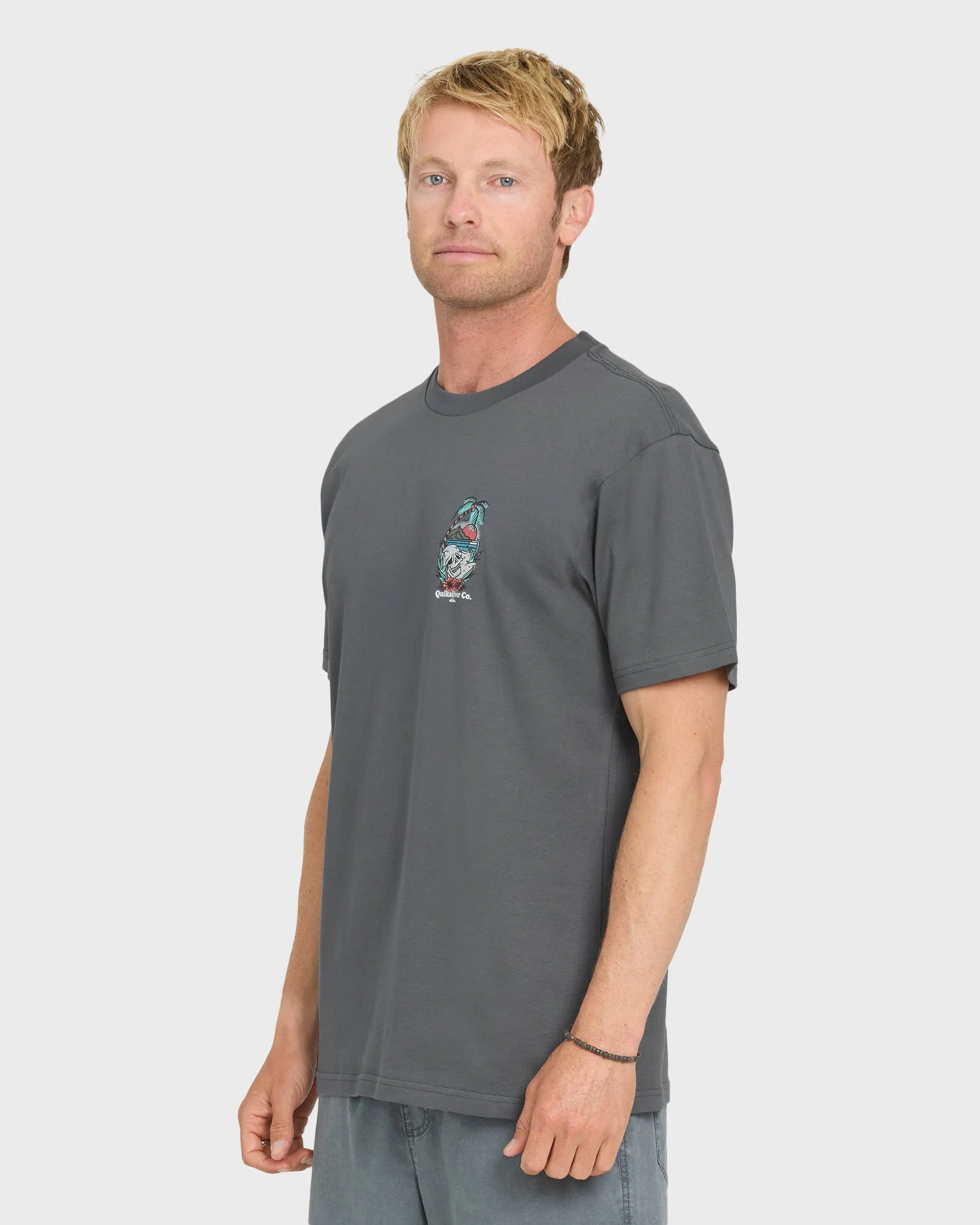 Staycation Short Sleeve Cotton T-Shirt - Iron Gate sold by Quiksilver product image thumbnail 3