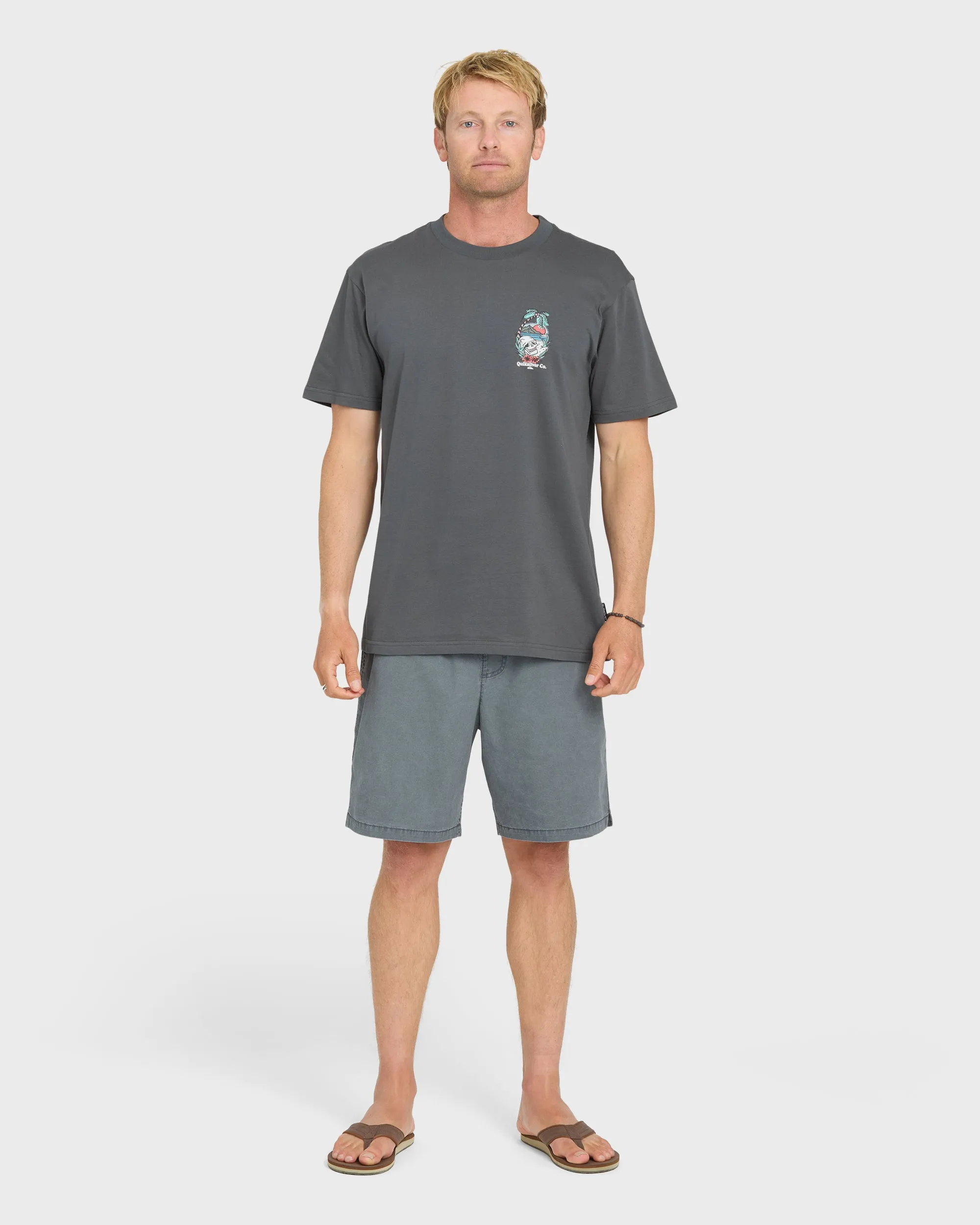 Staycation Short Sleeve Cotton T-Shirt - Iron Gate sold by Quiksilver product image thumbnail 4