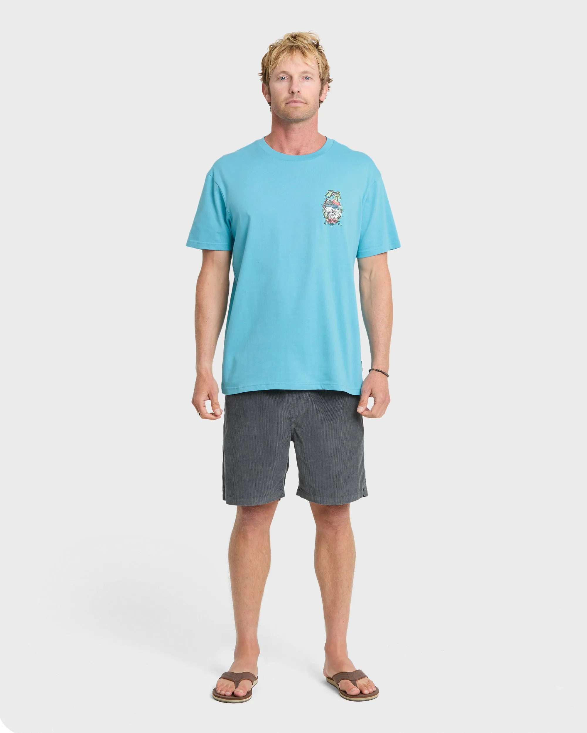 Staycation Short Sleeve Cotton T-Shirt - Crystal Seas sold by Quiksilver product image thumbnail 4
