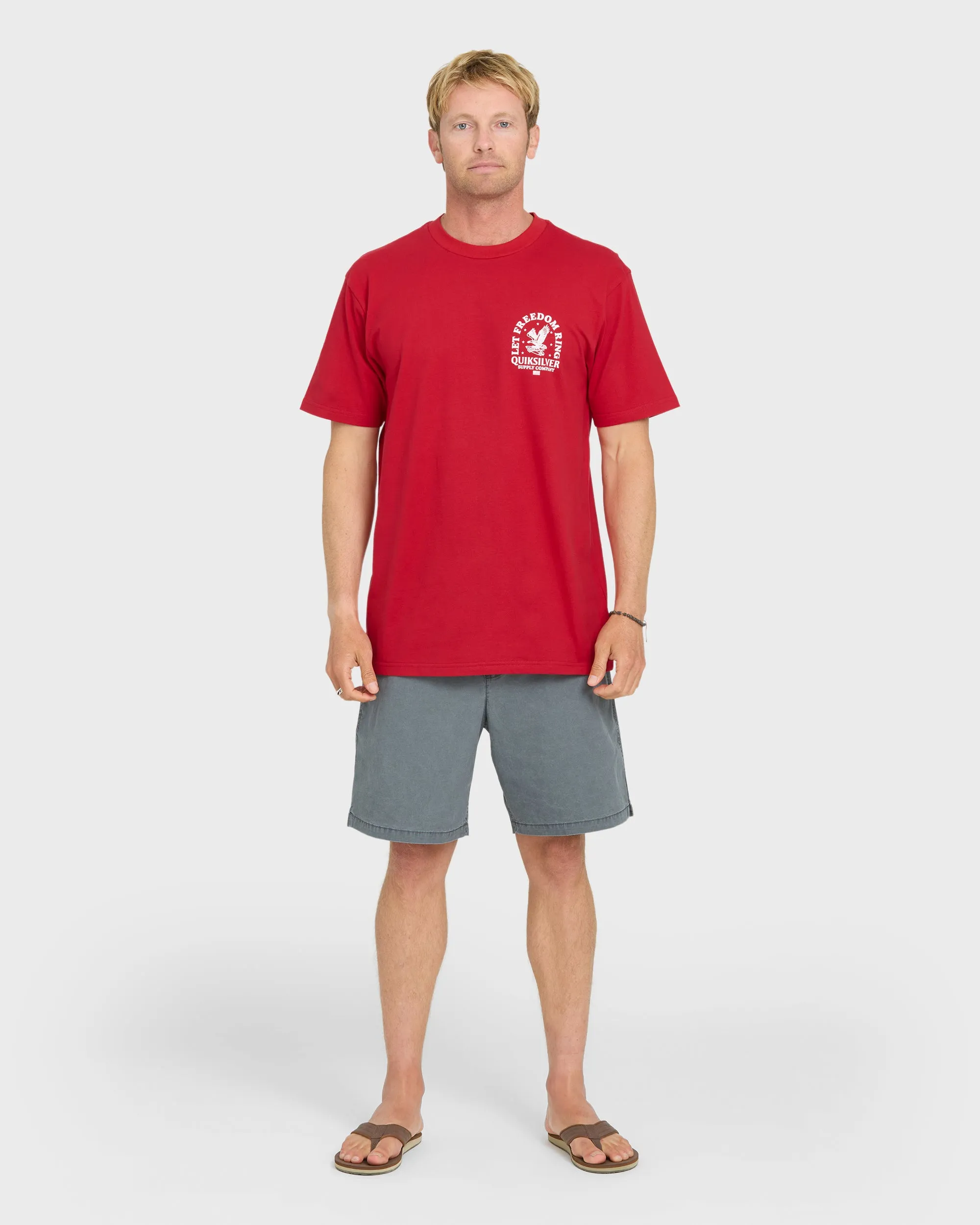 Freedom Ring Short Sleeve Cotton T-Shirt - Salsa sold by Quiksilver product image thumbnail 4