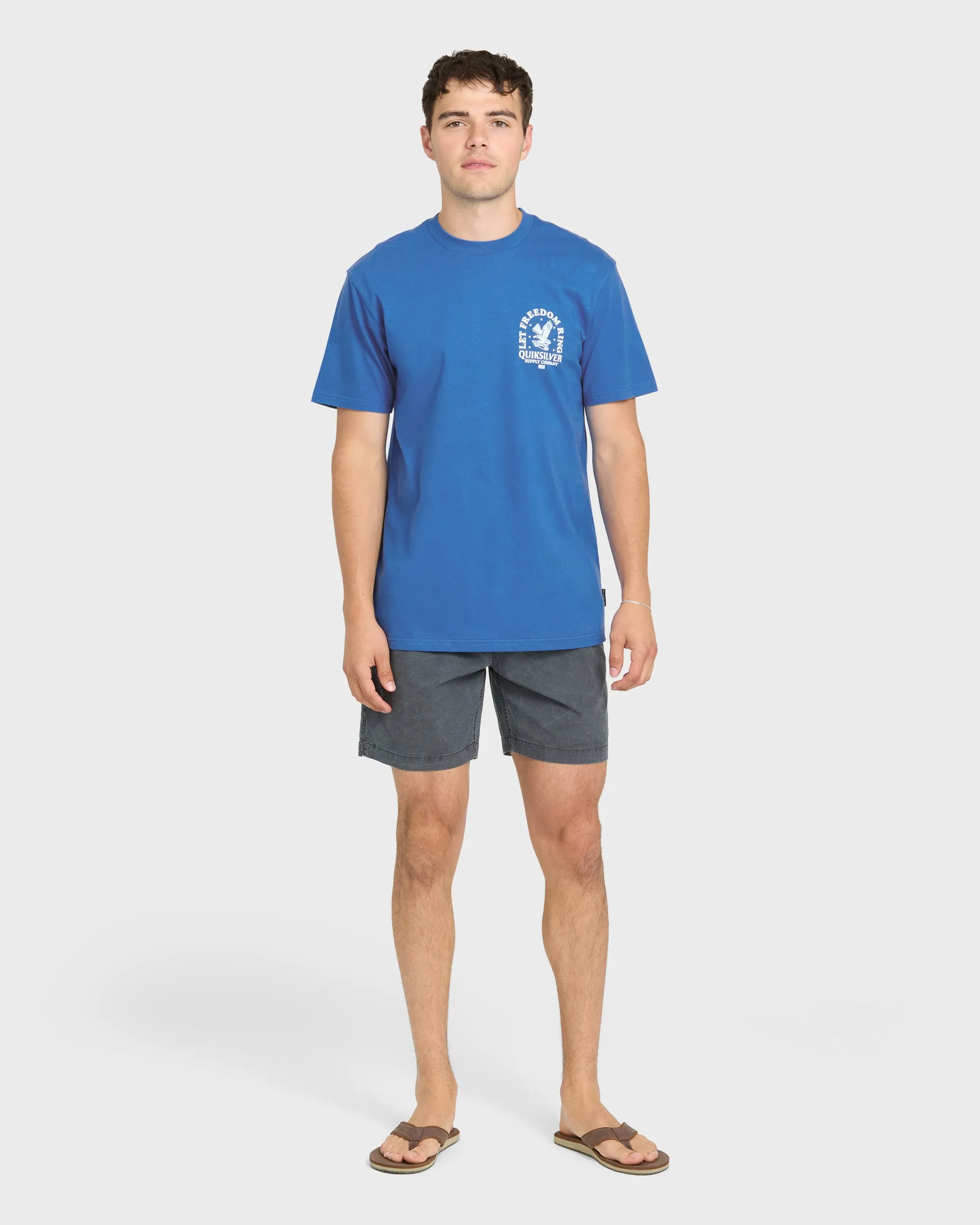Freedom Ring Short Sleeve Cotton T-Shirt - Nebulas Blue sold by Quiksilver product image thumbnail 4