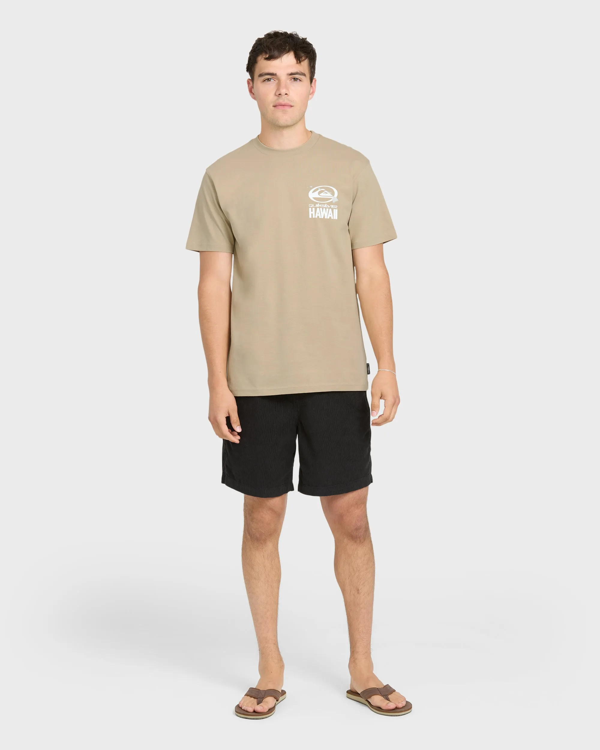 Hawaii Patch Classic Short Sleeve Knit T-Shirt - Seneca Rock sold by Quiksilver product image thumbnail 4