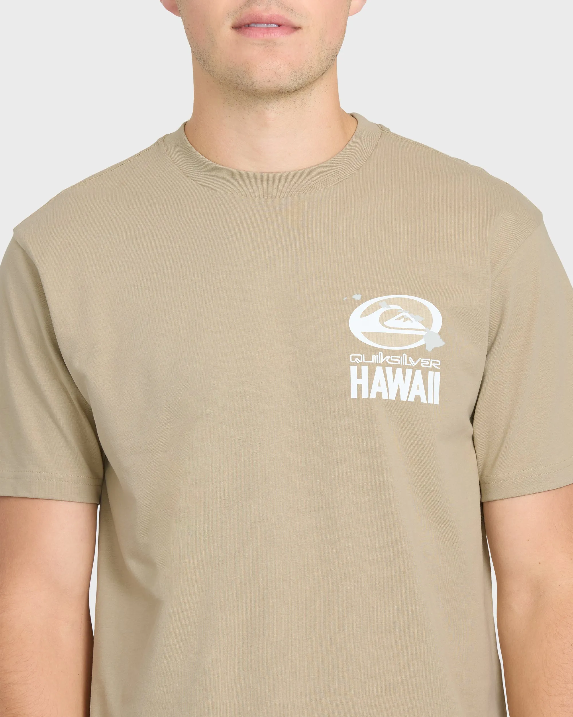 Hawaii Patch Classic Short Sleeve Knit T-Shirt - Seneca Rock sold by Quiksilver product image thumbnail 5