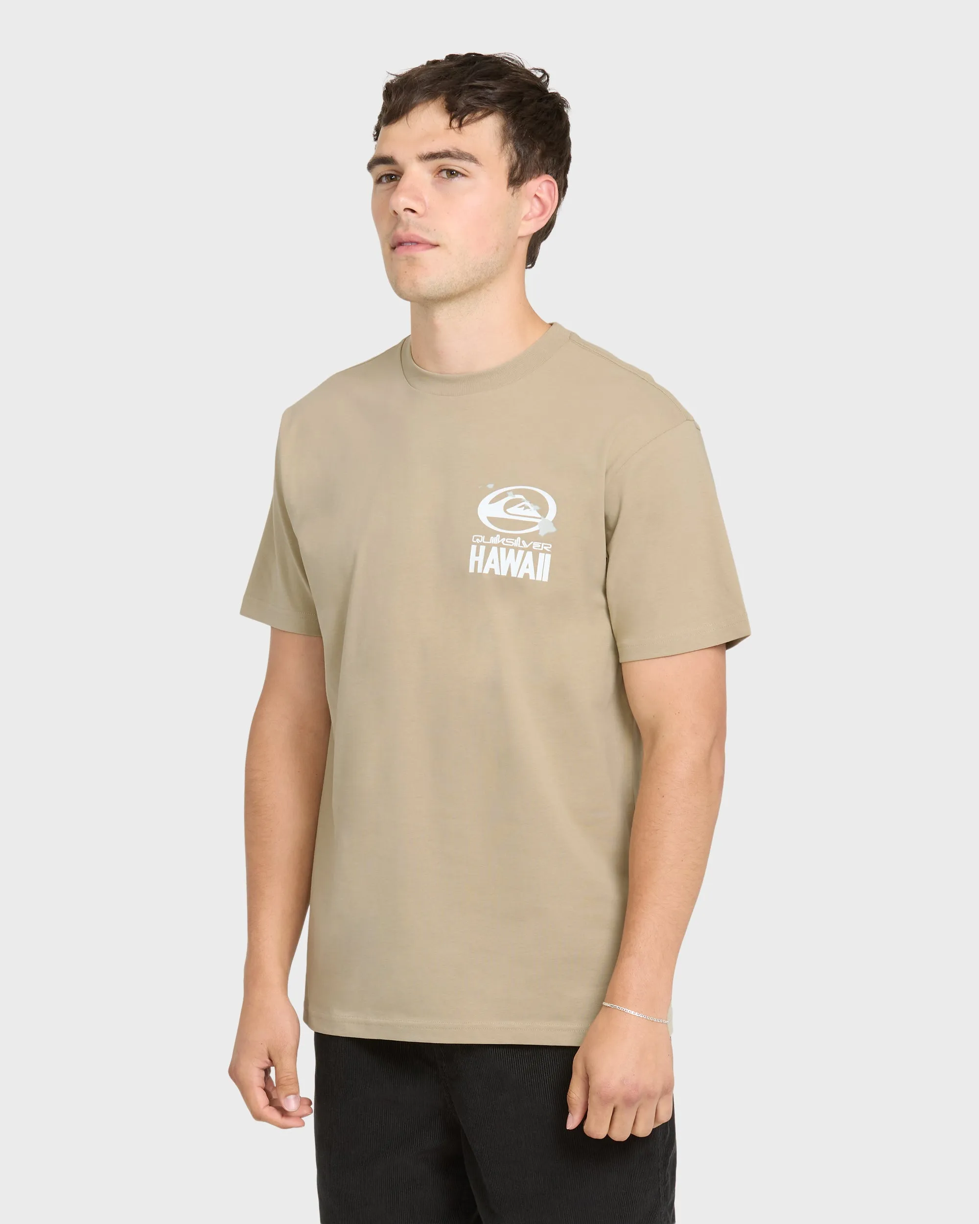 Hawaii Patch Classic Short Sleeve Knit T-Shirt - Seneca Rock sold by Quiksilver product image thumbnail 3