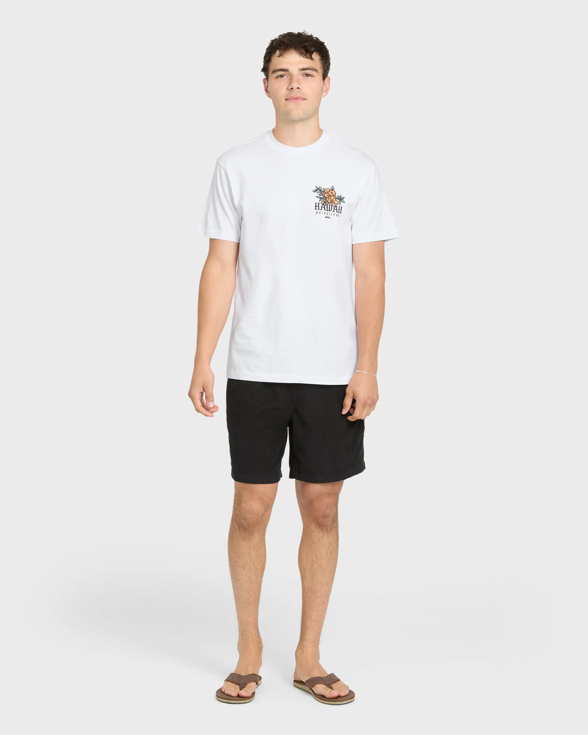 Hawaii Da Rooster Classic Short Sleeve Knit T-Shirt - White sold by Quiksilver product image thumbnail 4