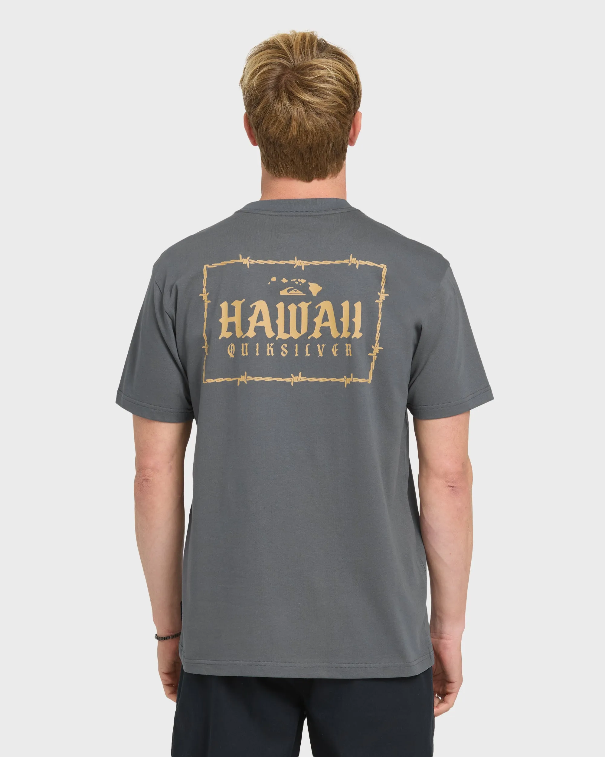 Hawaii Lock Short Sleeve Knit T-Shirt - Iron Gate sold by Quiksilver product image thumbnail 4