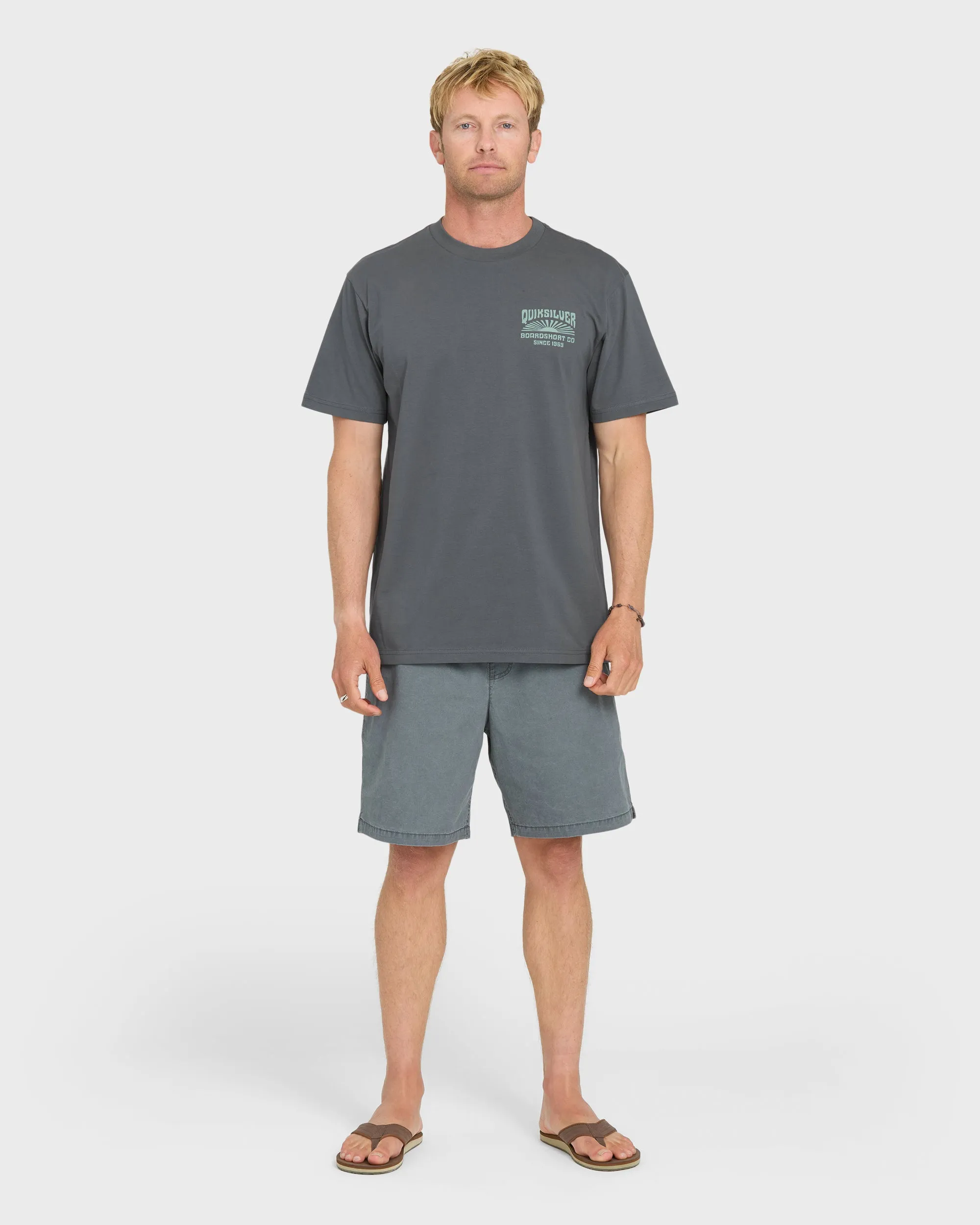 Radiant Flare Short Sleeve Knit T-Shirt - Iron Gate sold by Quiksilver product image thumbnail 4