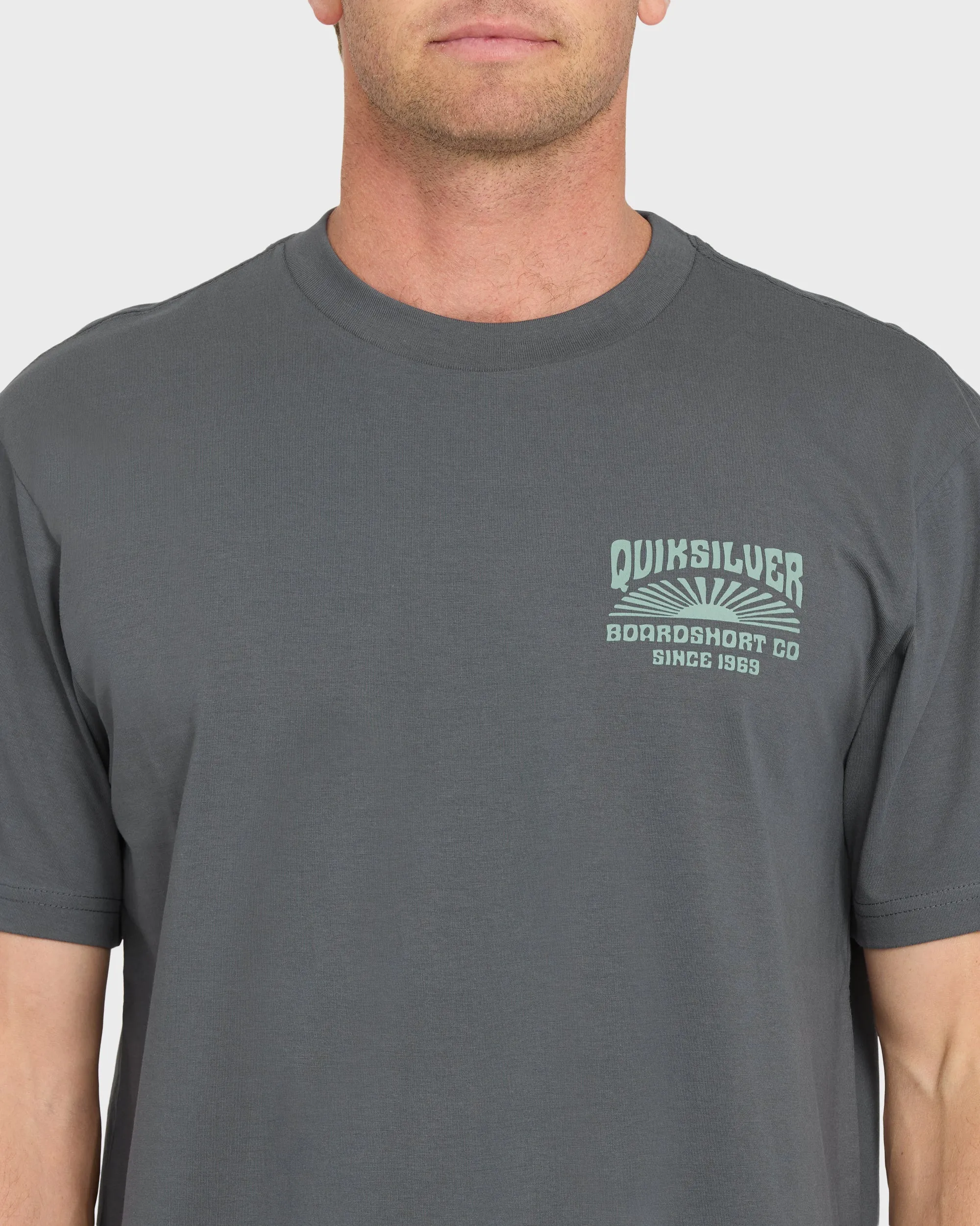 Radiant Flare Short Sleeve Knit T-Shirt - Iron Gate sold by Quiksilver product image thumbnail 5