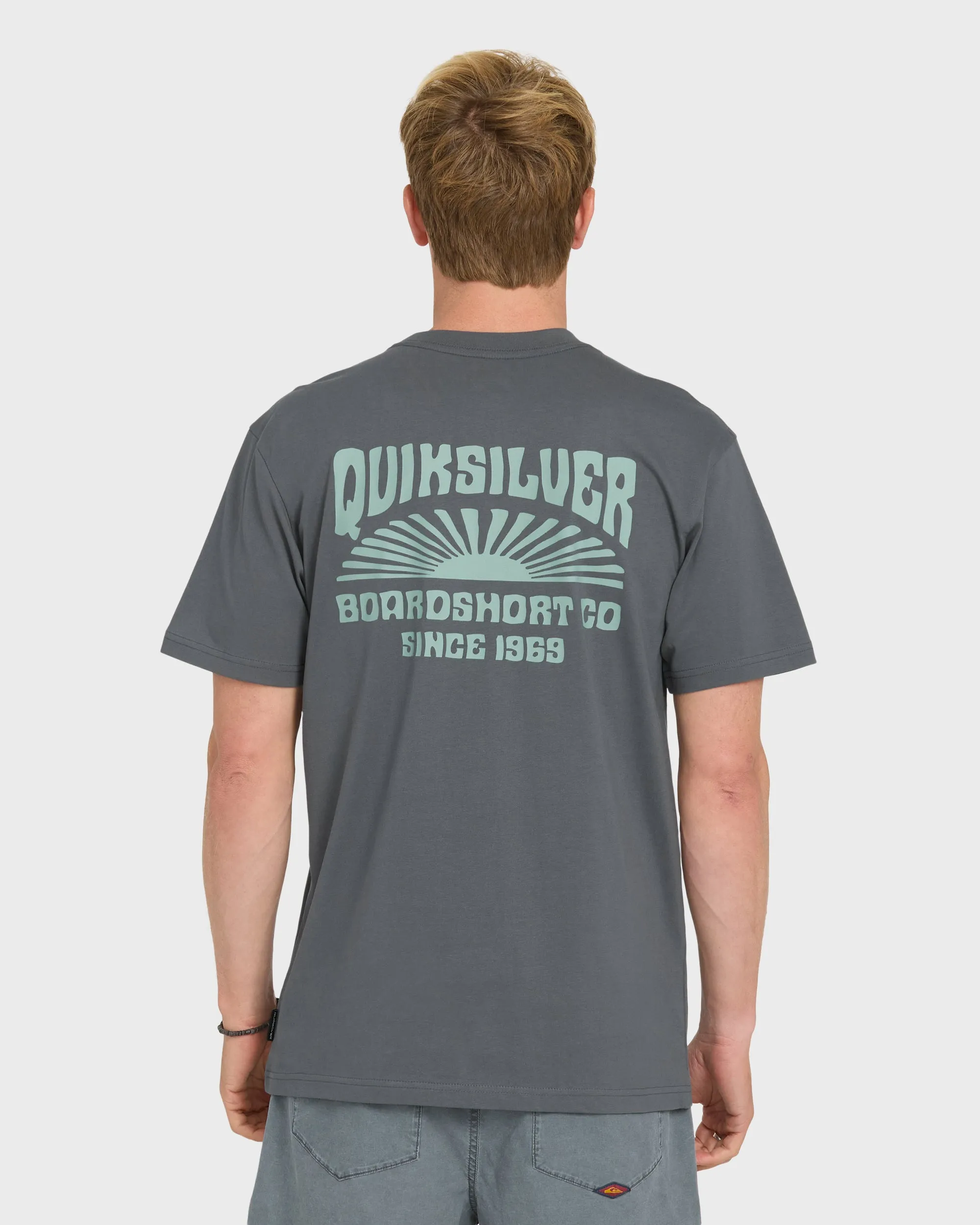 Radiant Flare Short Sleeve Knit T-Shirt - Iron Gate sold by Quiksilver product image thumbnail 2