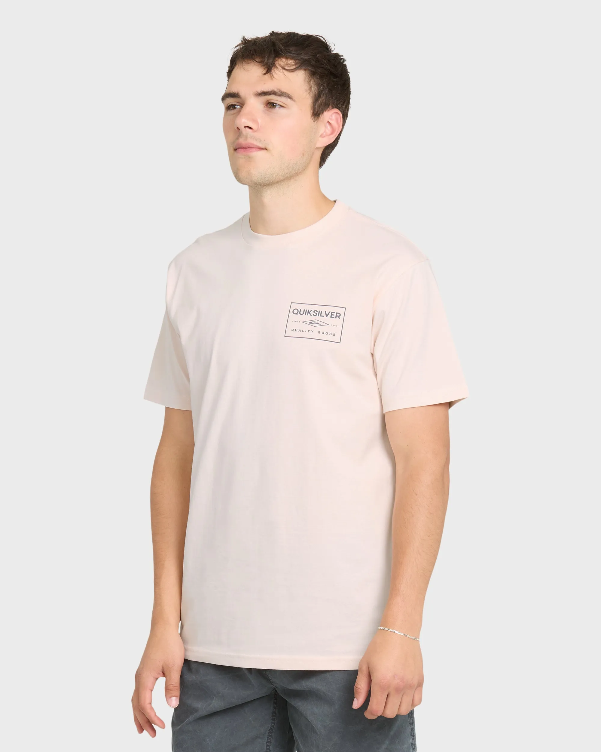 Stamped Short Sleeve Knit T-Shirt - Rosewater sold by Quiksilver product image thumbnail 3