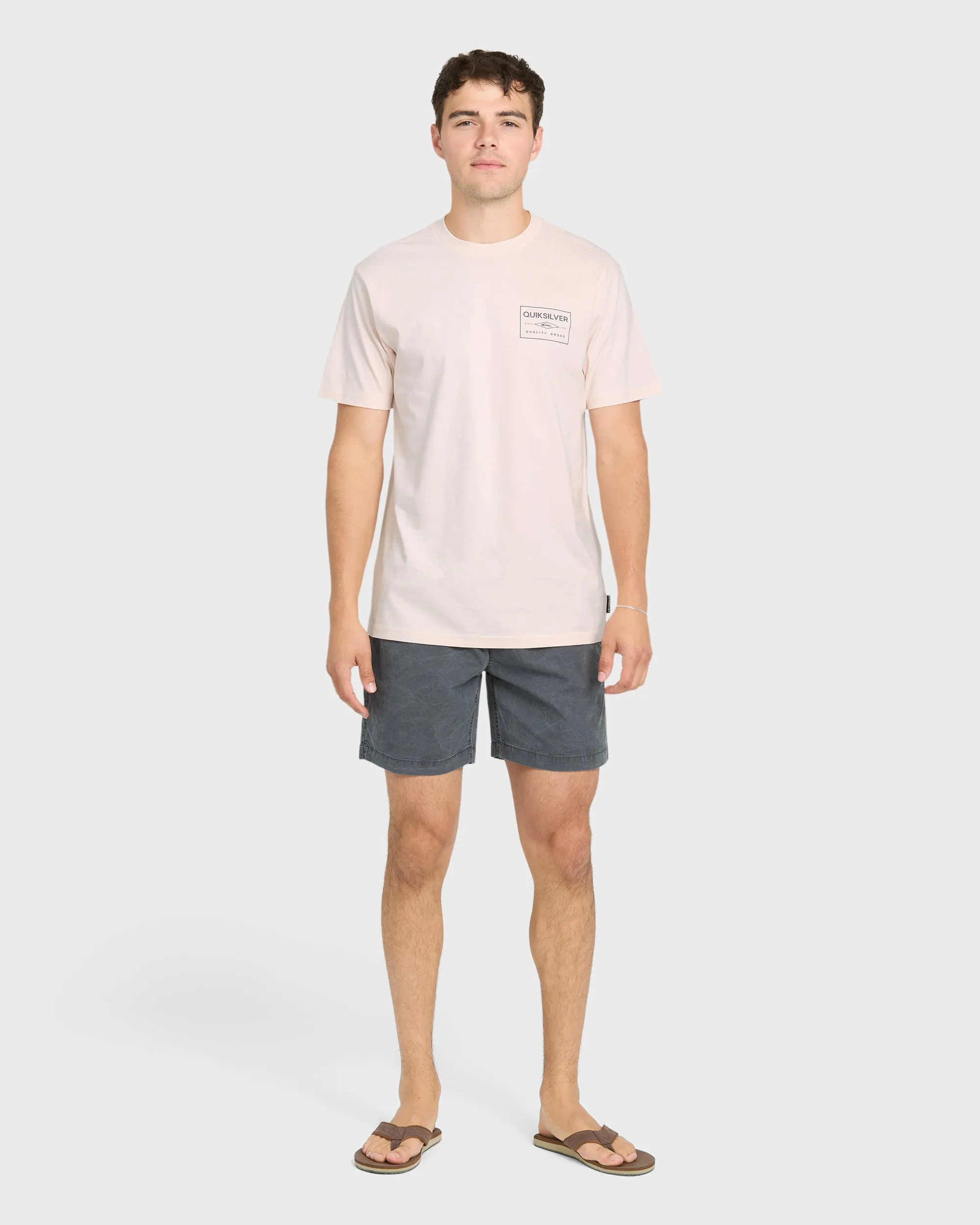 Stamped Short Sleeve Knit T-Shirt - Rosewater sold by Quiksilver product image thumbnail 4