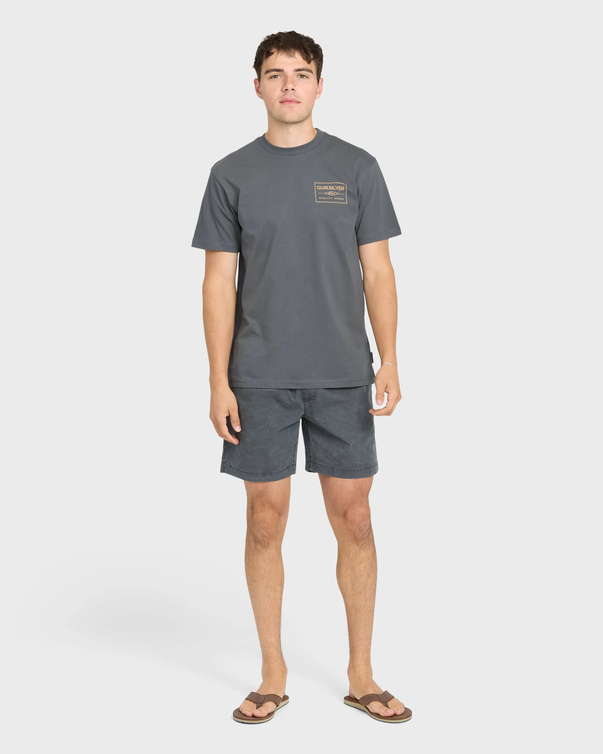 Stamped Short Sleeve Knit T-Shirt - Iron Gate sold by Quiksilver product image thumbnail 4
