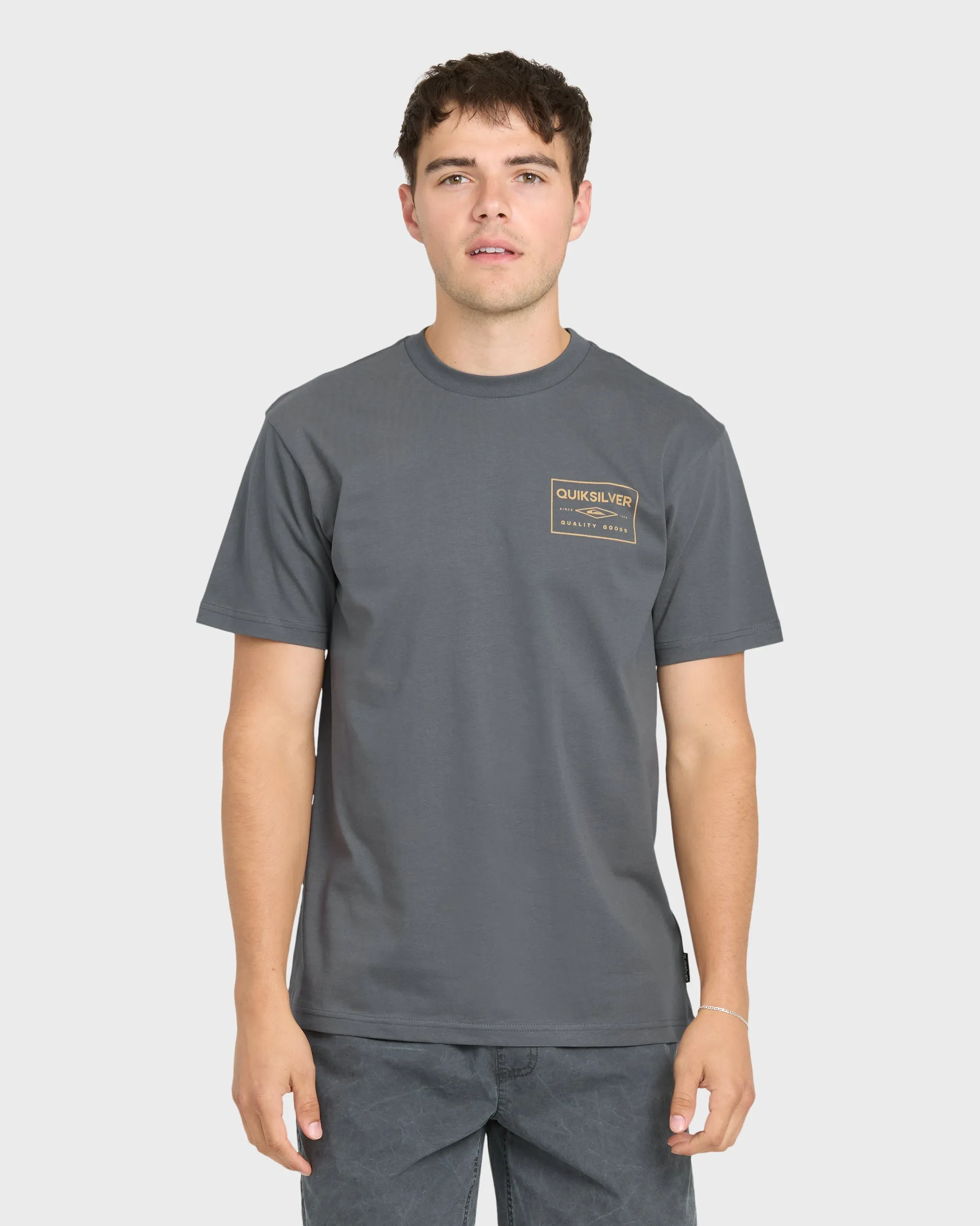 Stamped Short Sleeve Knit T-Shirt - Iron Gate sold by Quiksilver