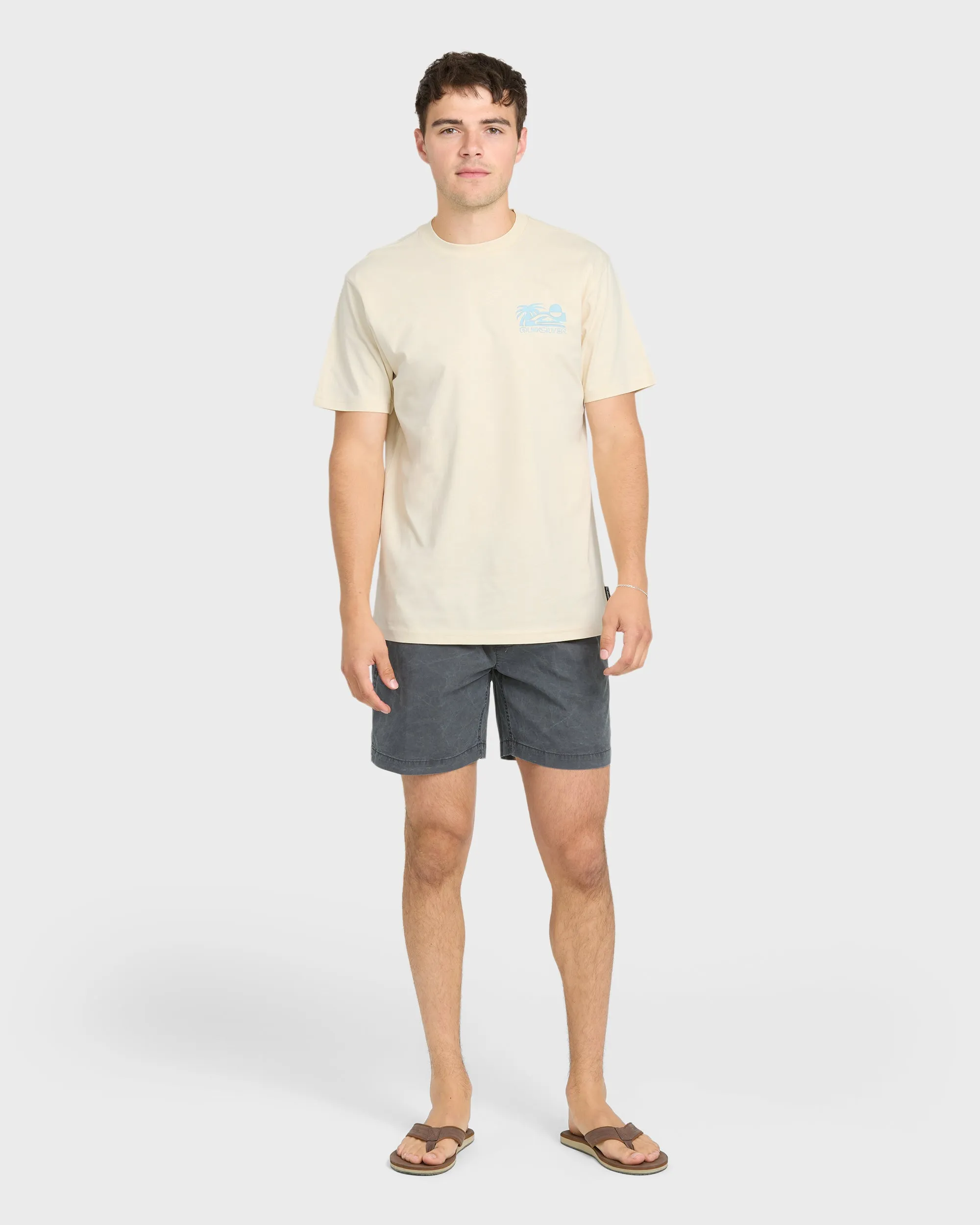 Reverse Cut Classic Short Sleeve Cotton T-Shirt - Bone White sold by Quiksilver product image thumbnail 4