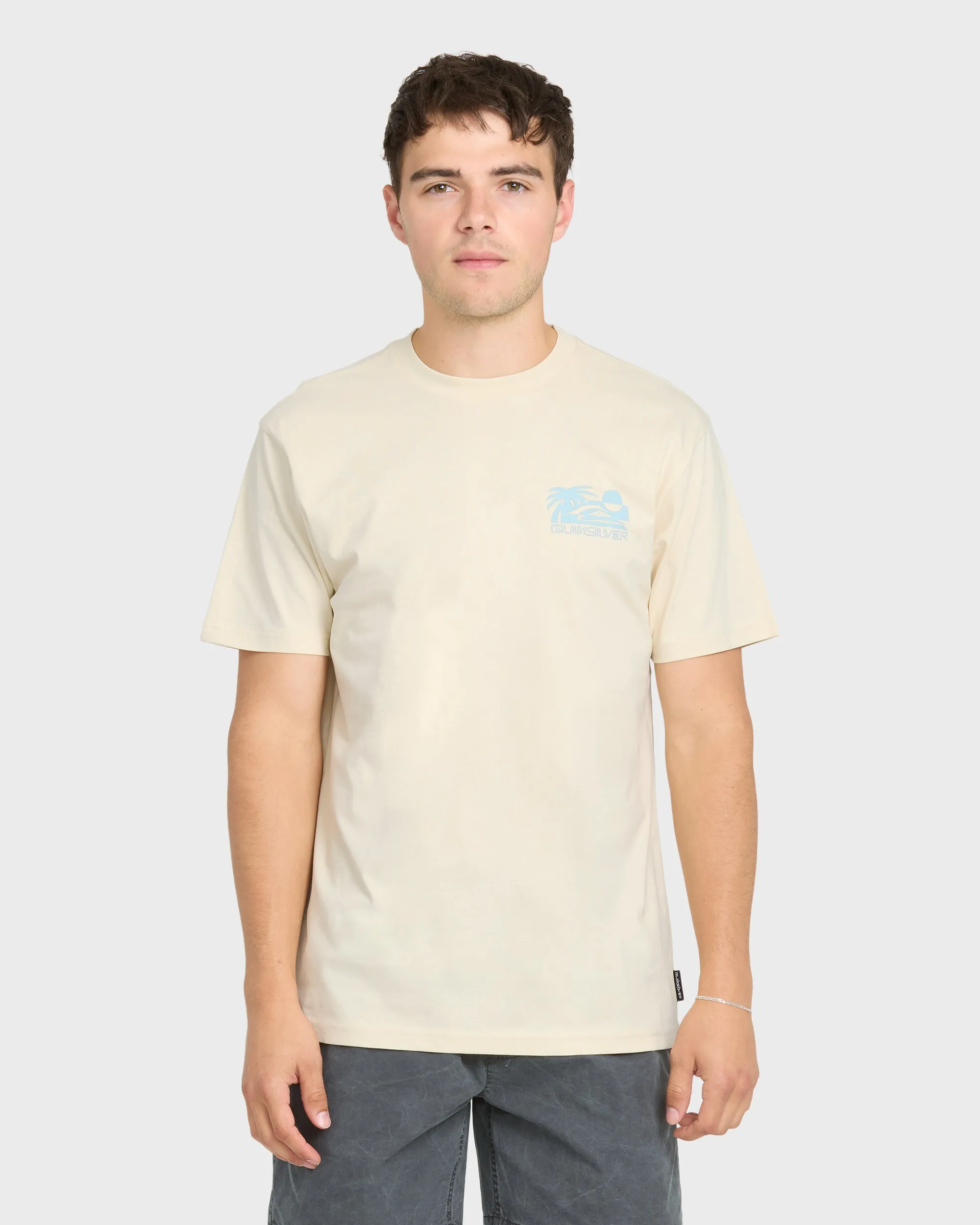 Reverse Cut Classic Short Sleeve Cotton T-Shirt - Bone White sold by Quiksilver