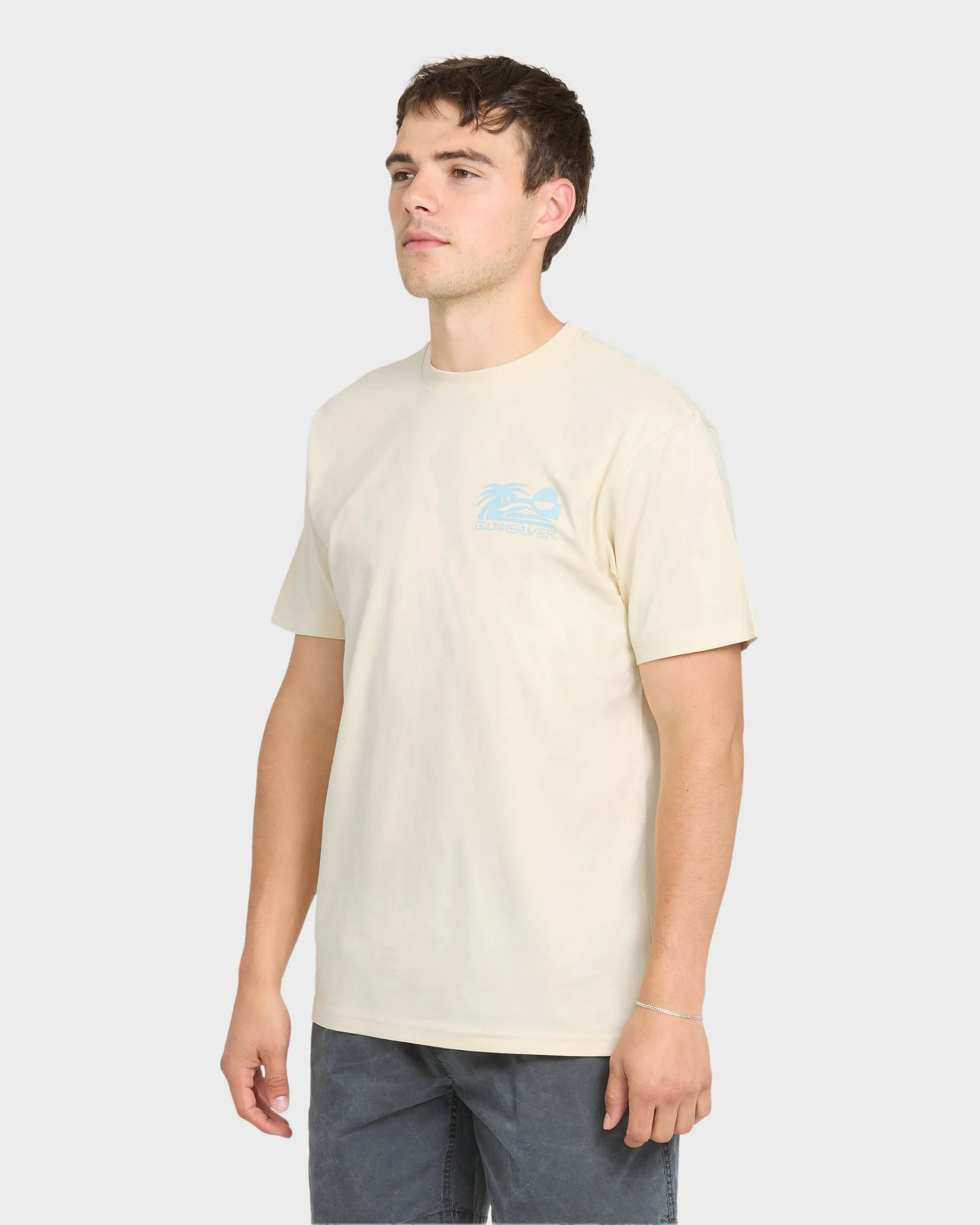 Reverse Cut Classic Short Sleeve Cotton T-Shirt - Bone White sold by Quiksilver product image thumbnail 3