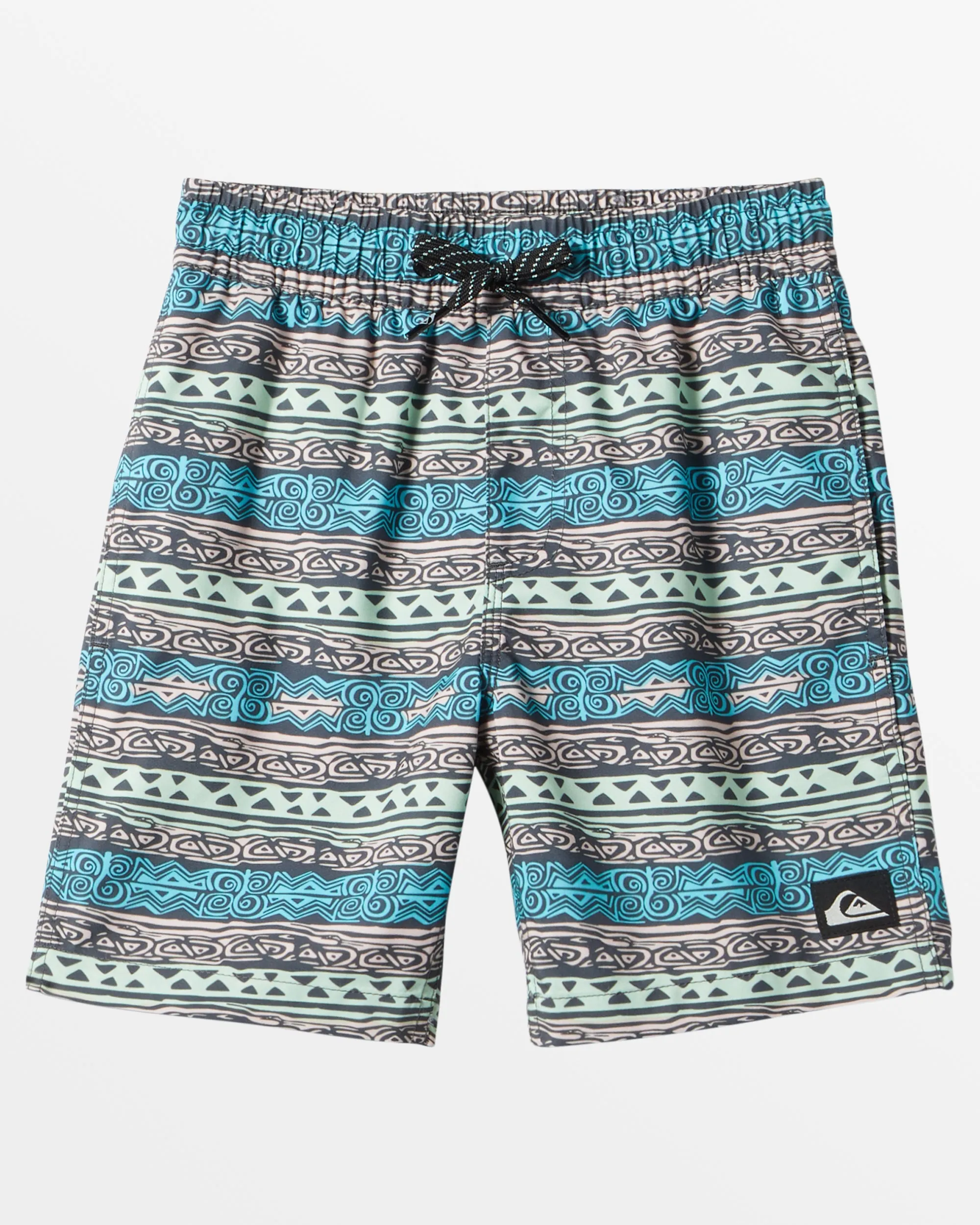 Boys 2-7 Everyday Heritage Volley 13" Swim Trunks - sold by Quiksilver