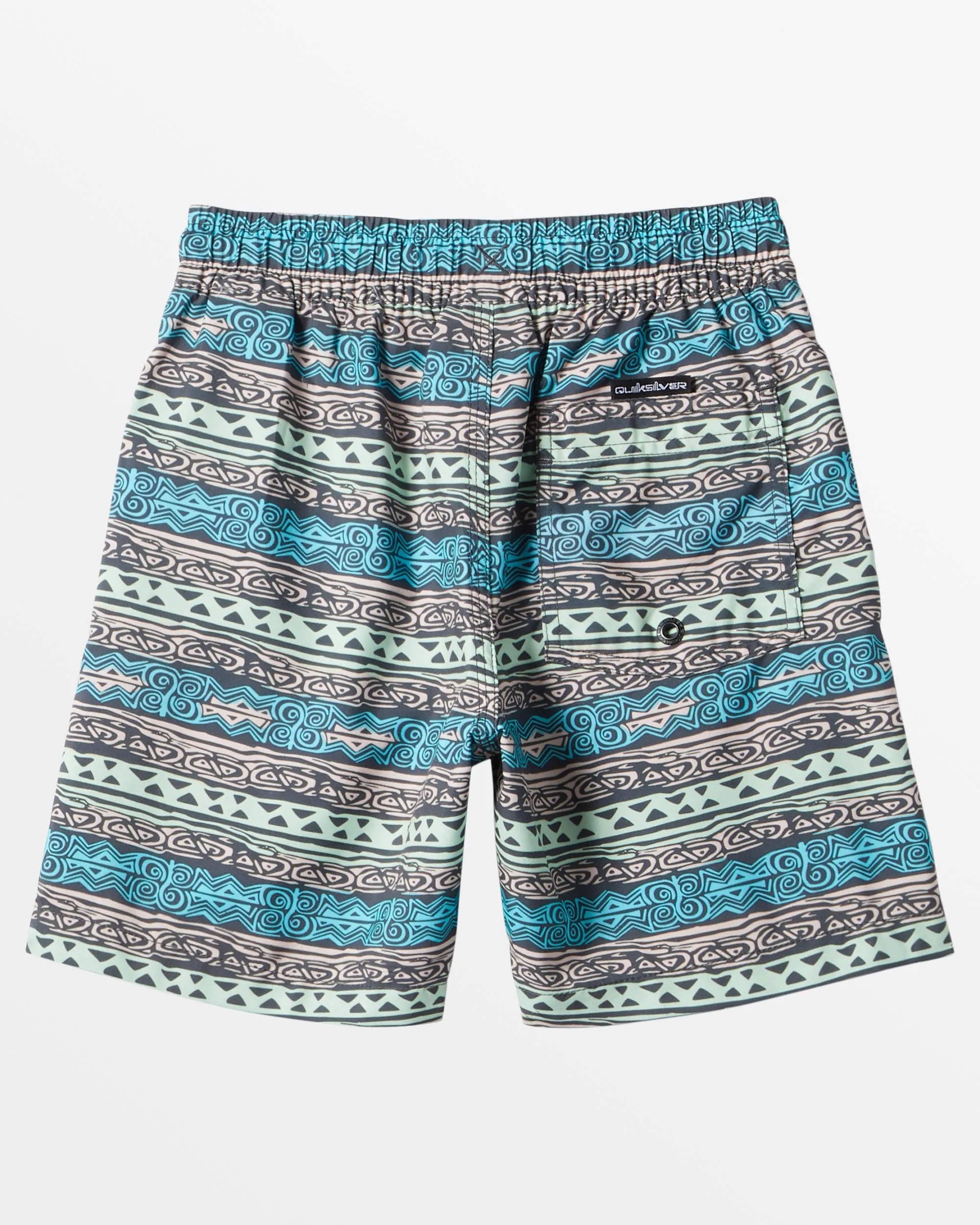 Boys 2-7 Everyday Heritage Volley 13" Swim Trunks - sold by Quiksilver product image thumbnail 2