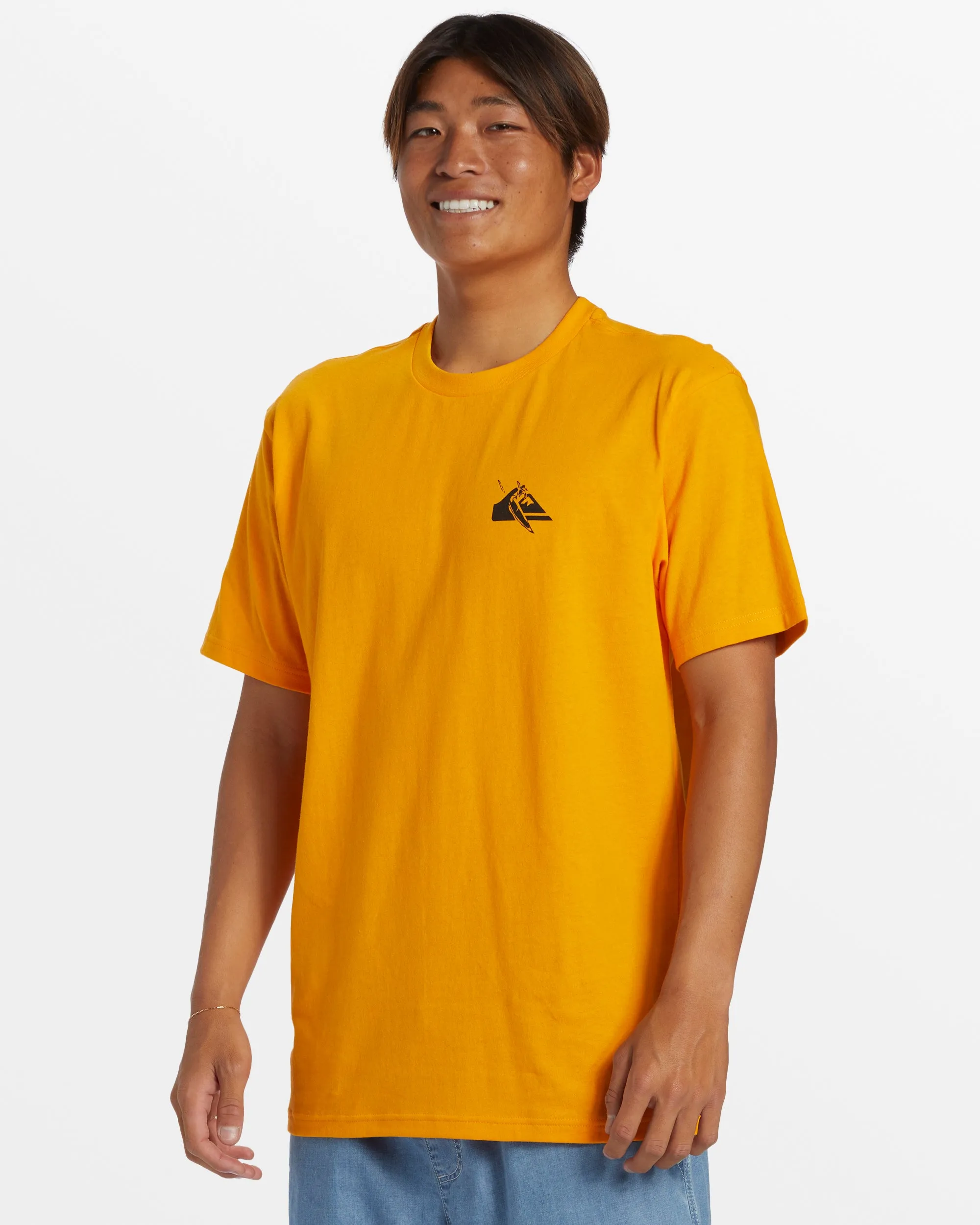 Petroglyph Logo DNA T-Shirt - sold by Quiksilver product image thumbnail 4