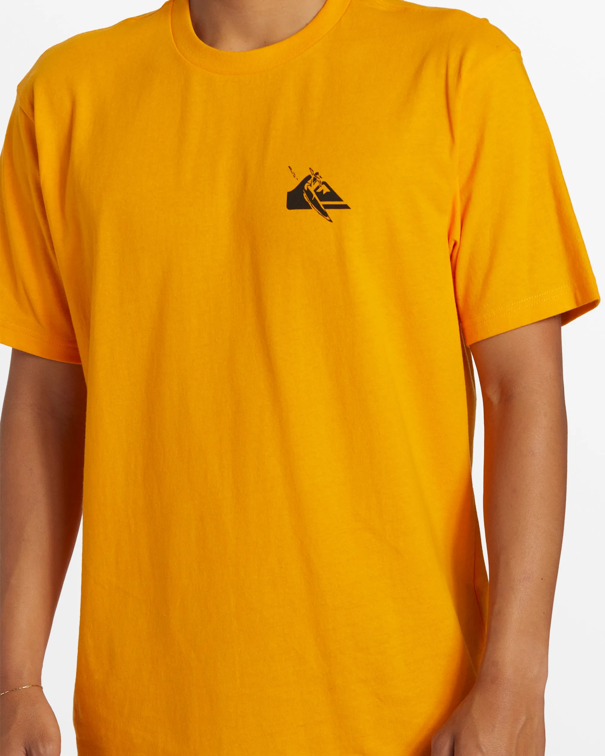 Petroglyph Logo DNA T-Shirt - sold by Quiksilver product image thumbnail 5
