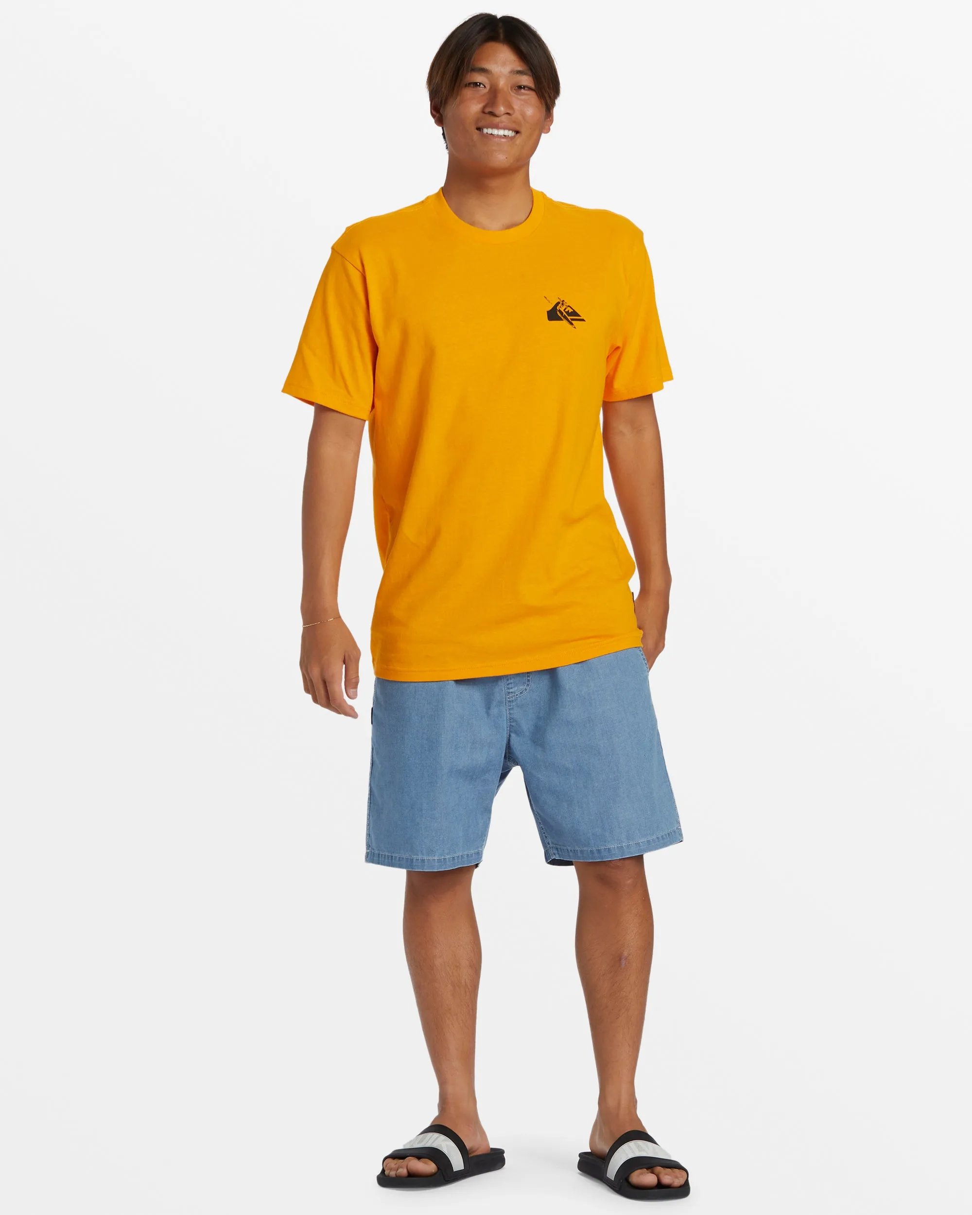 Petroglyph Logo DNA T-Shirt - sold by Quiksilver product image thumbnail 3