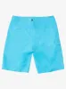 Everyday 21" Boardshorts - Hawaiian Ocean sold by Quiksilver