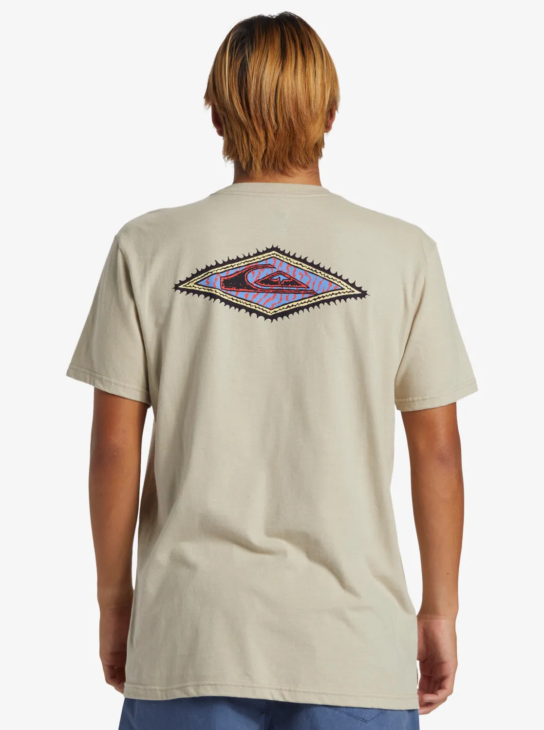 Diamond T-Shirt - Plaza Taupe sold by Quiksilver product image thumbnail 5