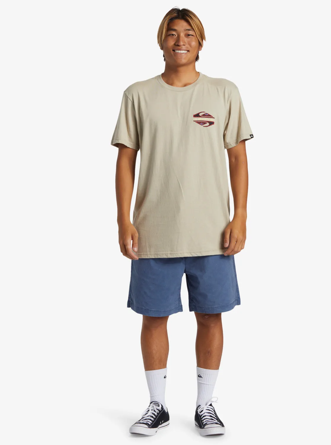 Diamond T-Shirt - Plaza Taupe sold by Quiksilver product image thumbnail 4