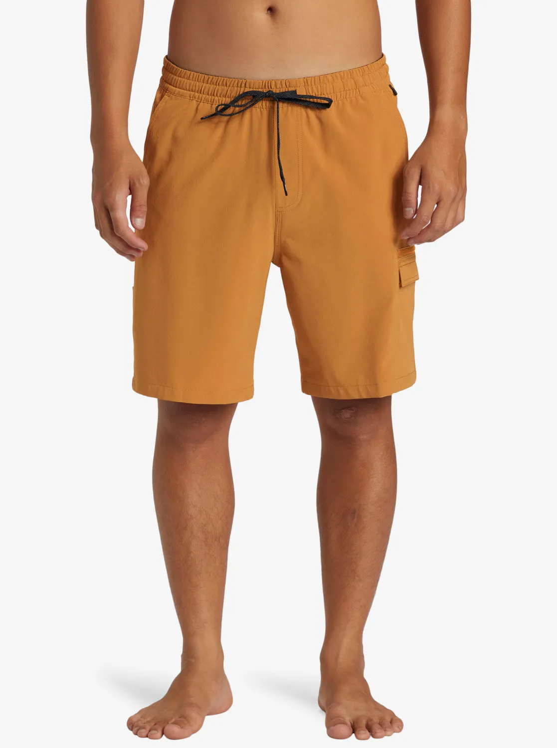 Taxer Cargo Amphibian 19" Hybrid Shorts - Bone Brown sold by Quiksilver product image thumbnail 3