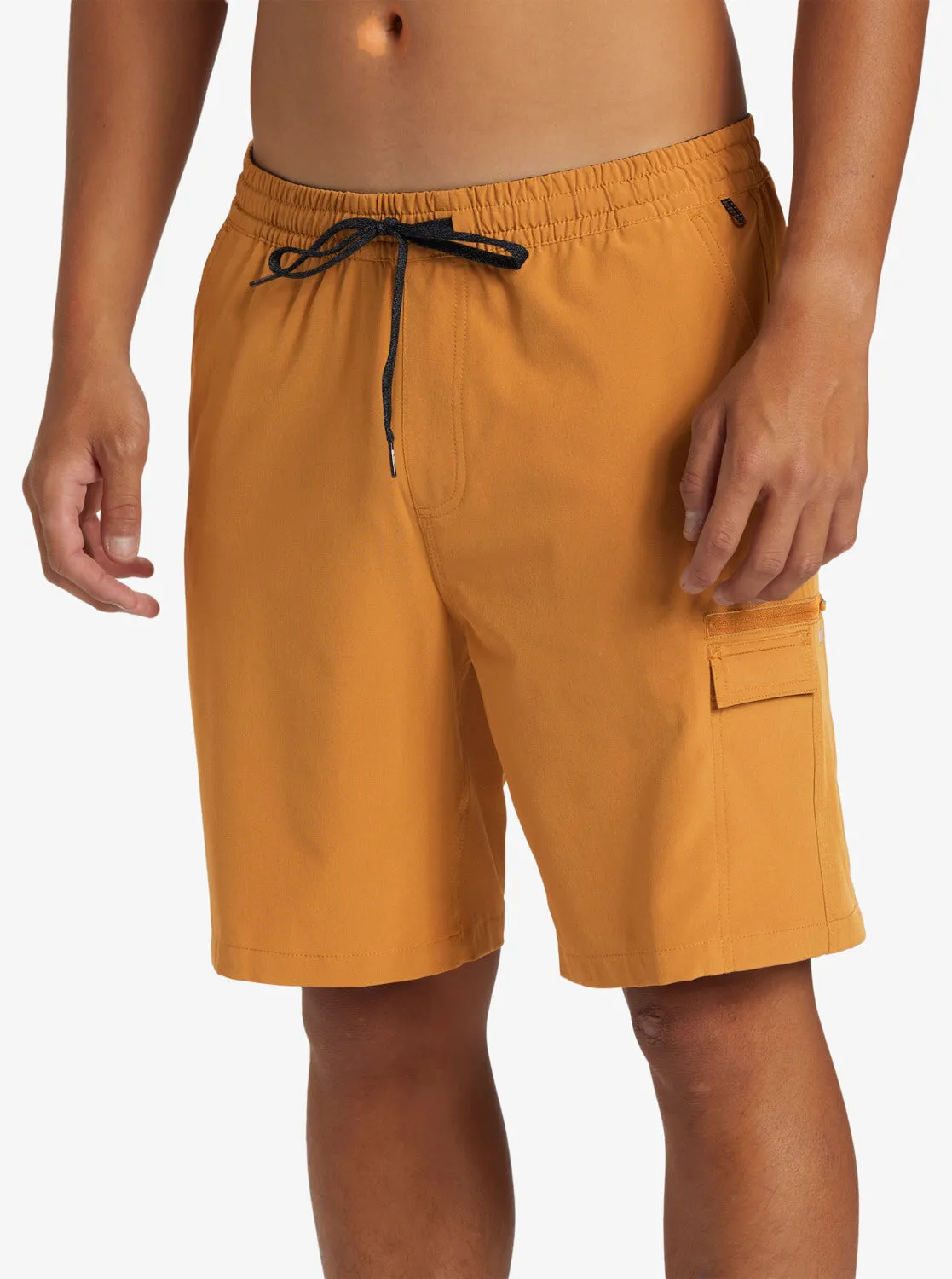 Taxer Cargo Amphibian 19" Hybrid Shorts - Bone Brown sold by Quiksilver product image thumbnail 5
