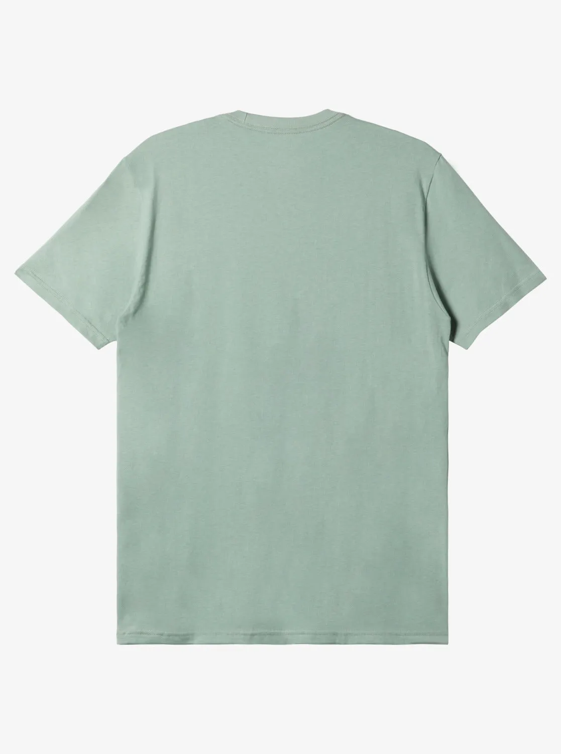Comp Logo T-Shirt - Iceberg Green sold by Quiksilver product image thumbnail 2