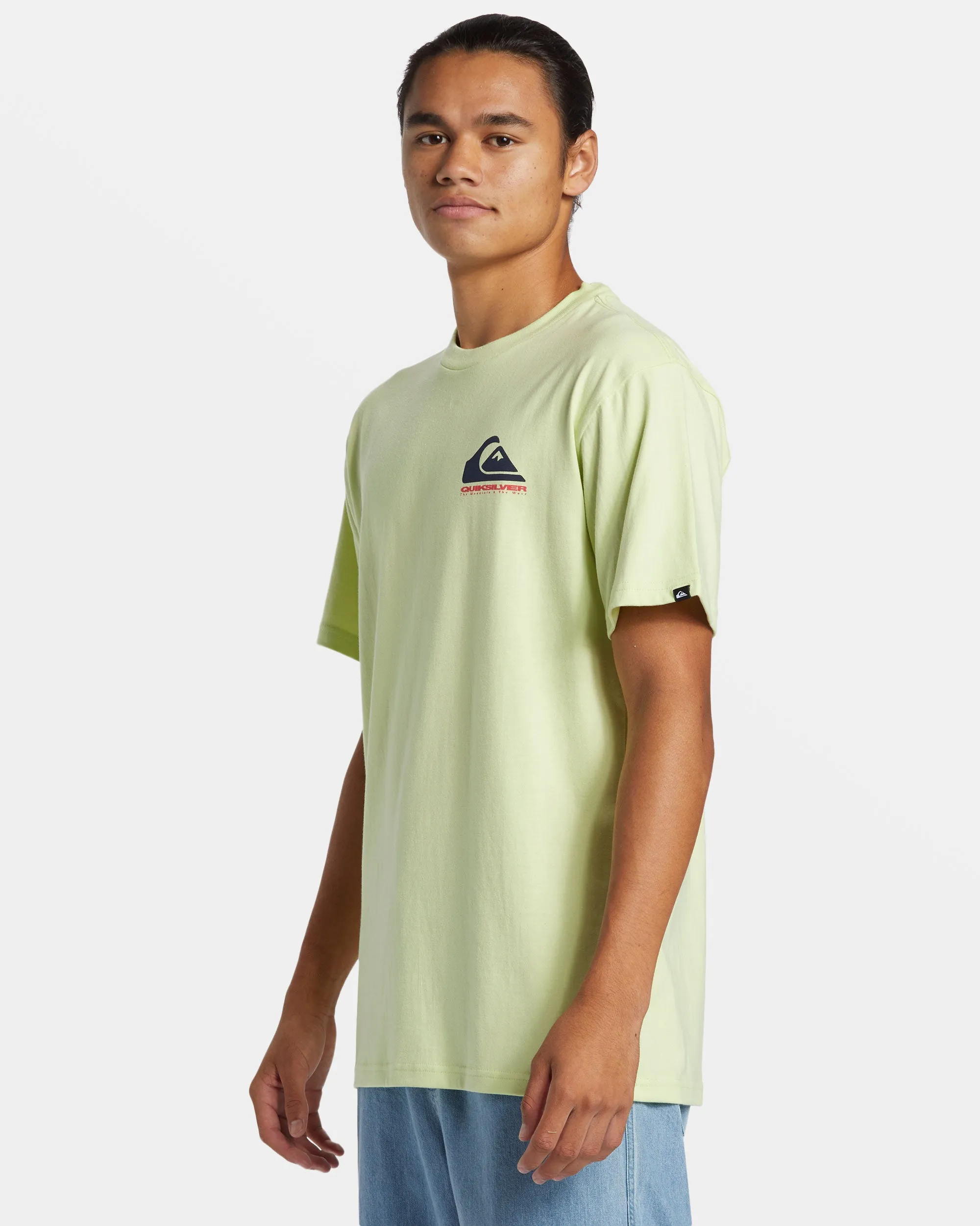 Eye On Horizon T-Shirt - Shadow Lime sold by Quiksilver product image thumbnail 4