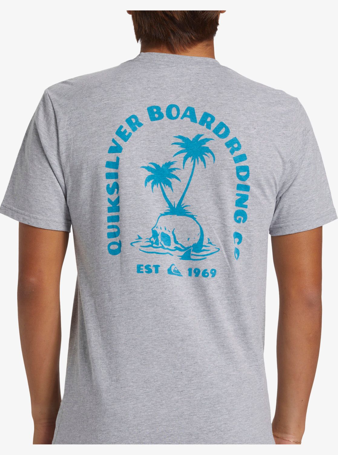 Skull Island T-Shirt - Athletic Heather sold by Quiksilver product image thumbnail 5