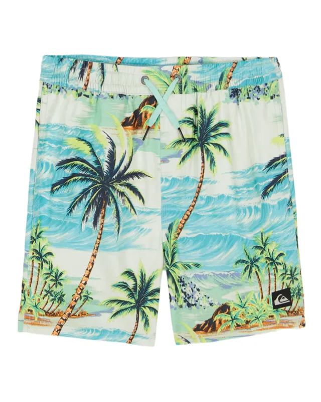 Boys 8-16 Everyday Mix Volley - Beach Glass sold by Quiksilver