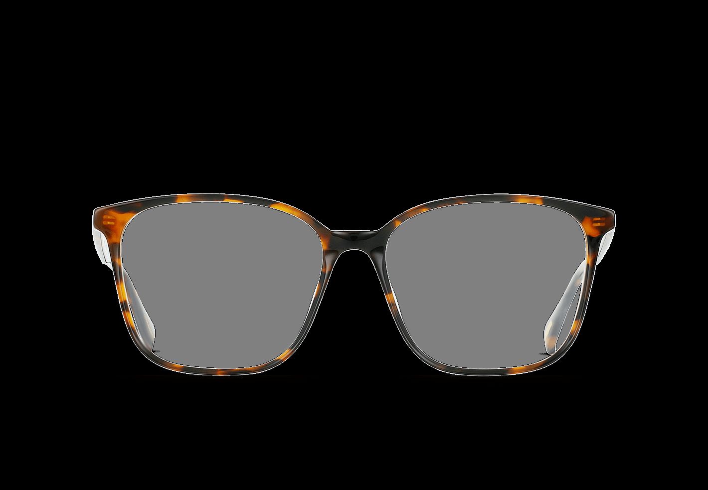 NEESE-Nero Tortoise / Clear-56 sold by RAEN