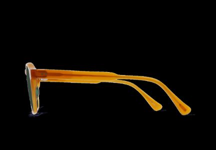 AREN-Honey / Green Polarized-53 sold by RAEN