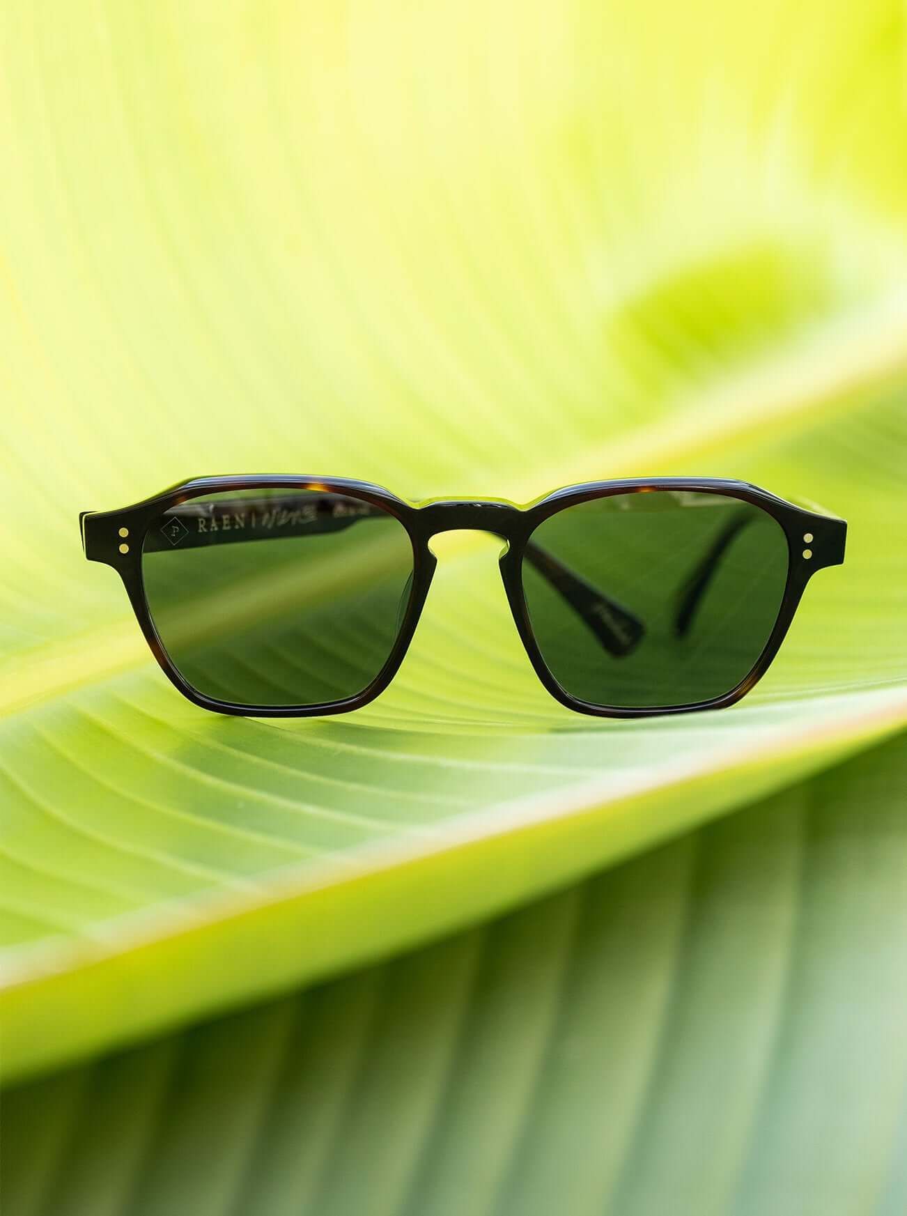 AREN-Kola Tortoise / Green Polarized-53 sold by RAEN product image thumbnail 4