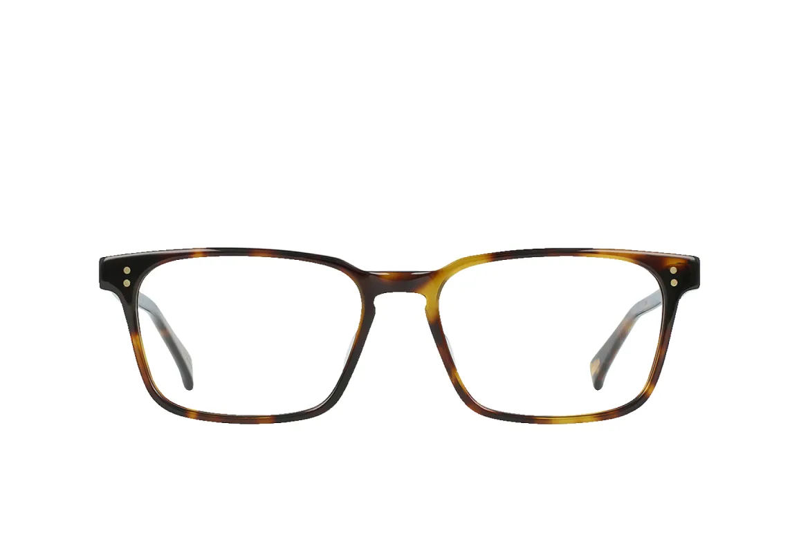 NOLAN-Kola Tortoise / Clear-55 sold by RAEN