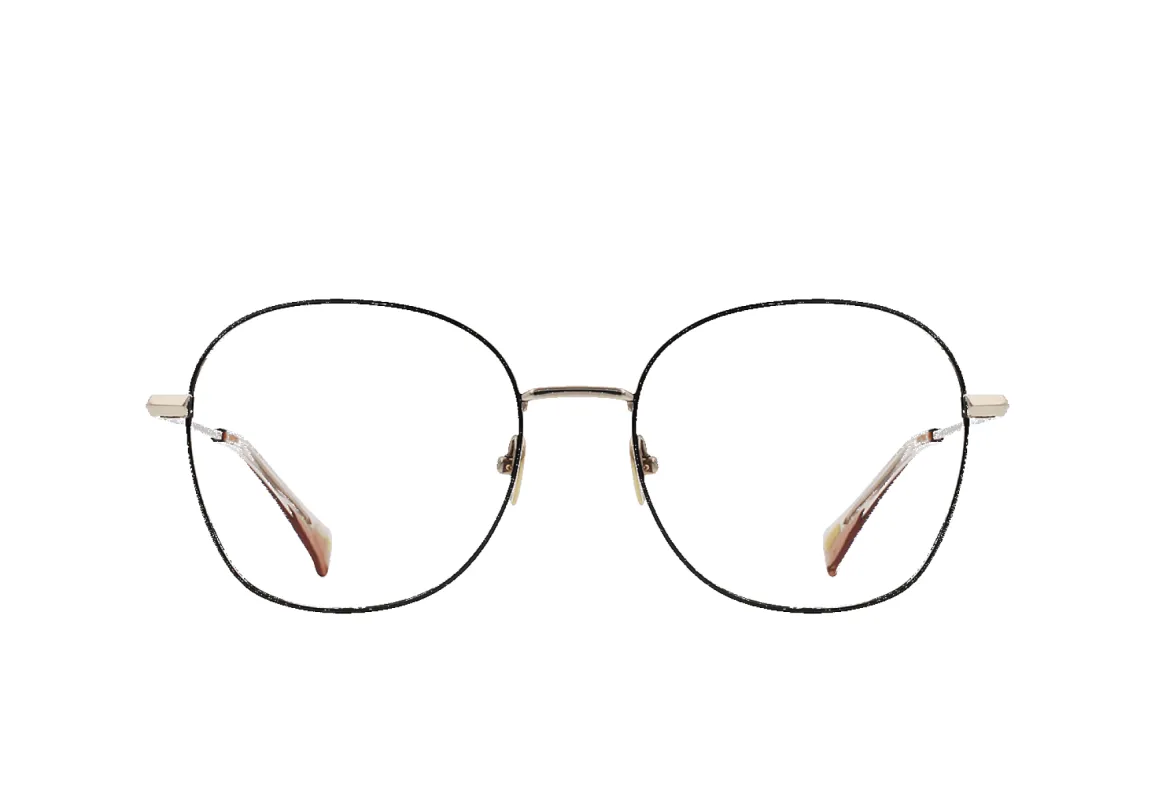 FINNY-Shiny Black Light Gold + Dawn / Clear-55 sold by RAEN